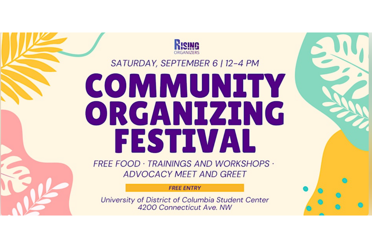 DC Organizing Festival