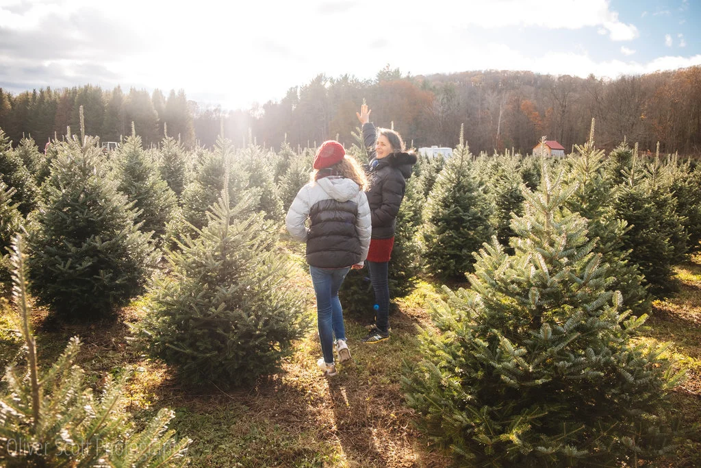 Christmas at Chestnut Mountain Tree Farm