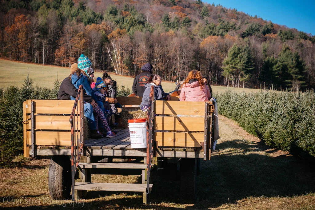 Christmas at Chestnut Mountain Tree Farm