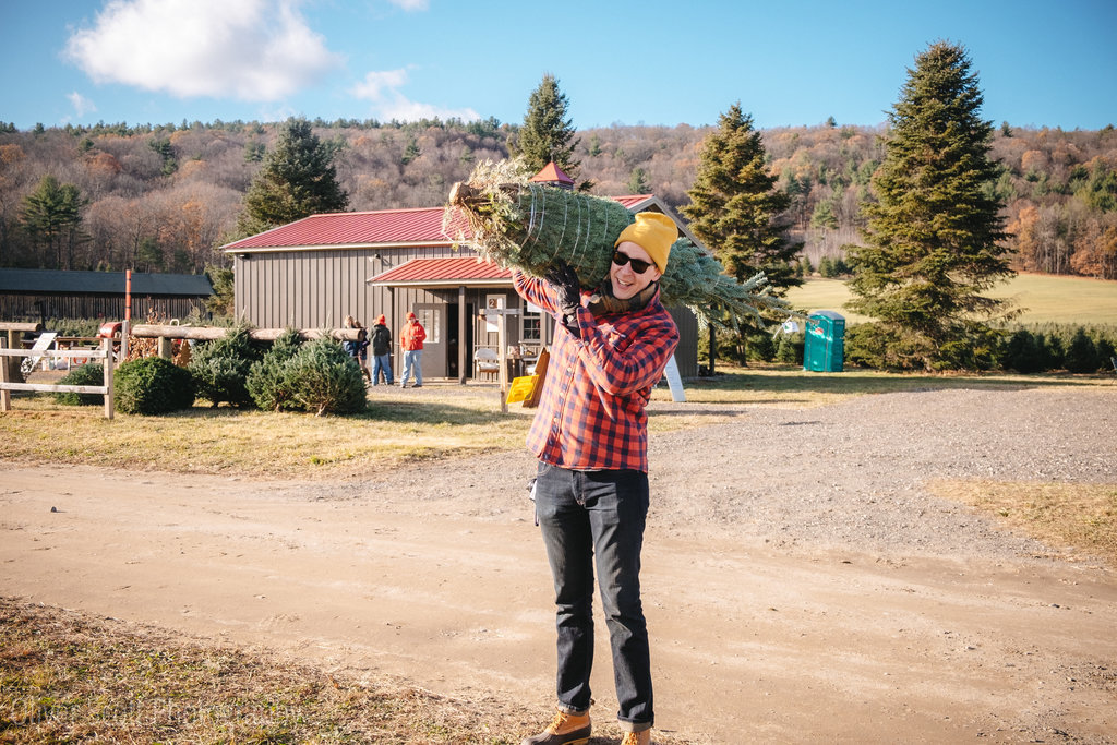 Christmas at Chestnut Mountain Tree Farm