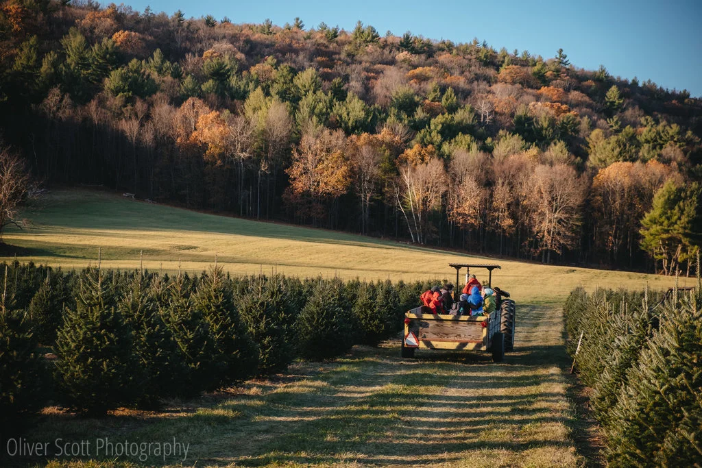 Christmas at Chestnut Mountain Tree Farm