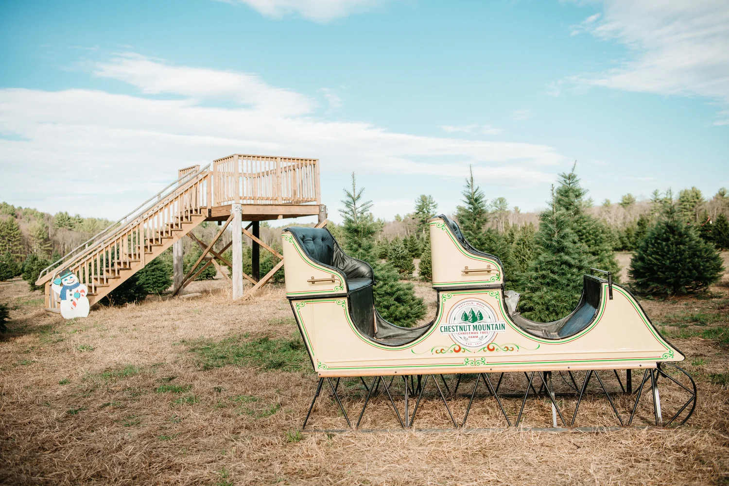 Christmas at Chestnut Mountain Tree Farm