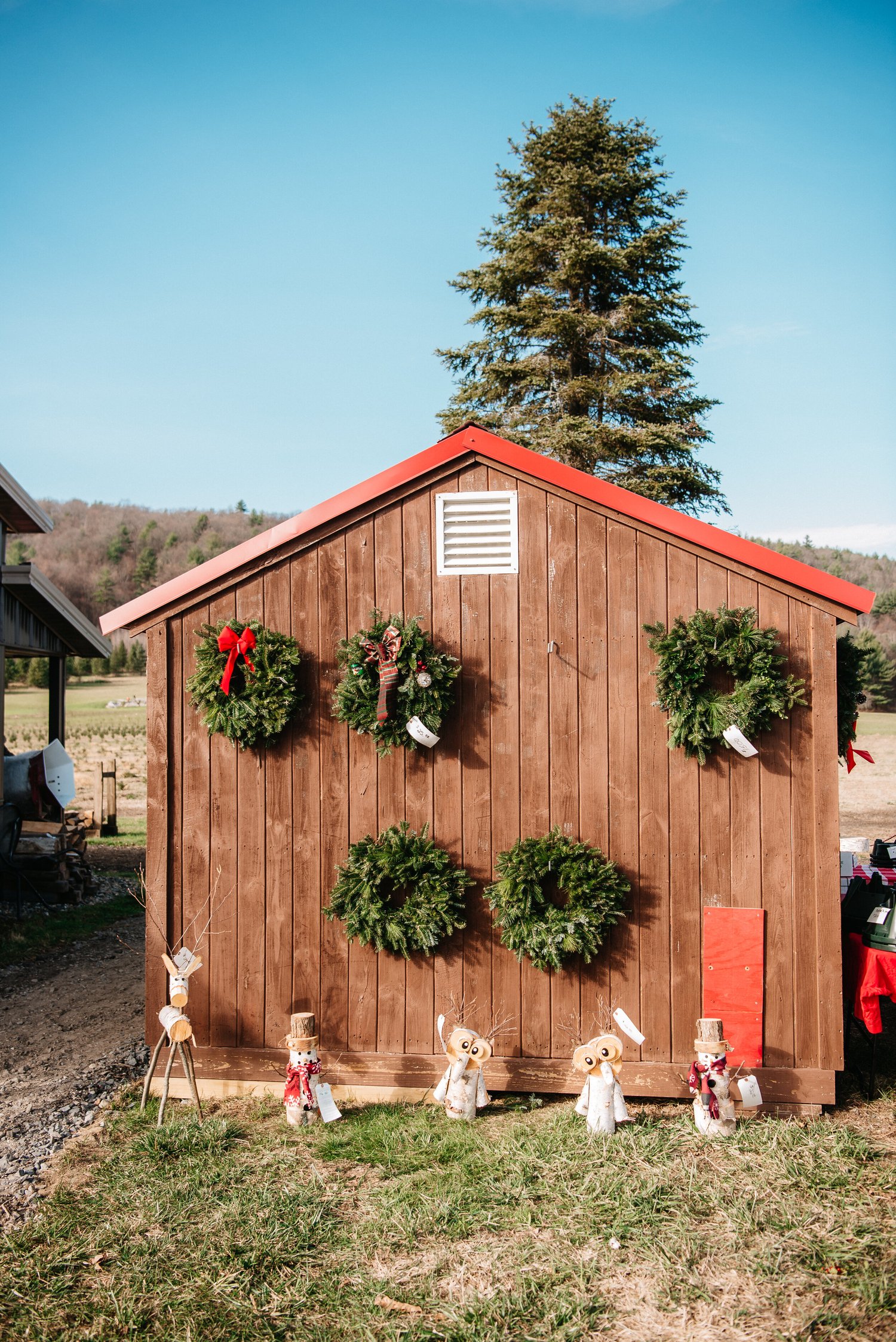 Christmas at Chestnut Mountain Tree Farm