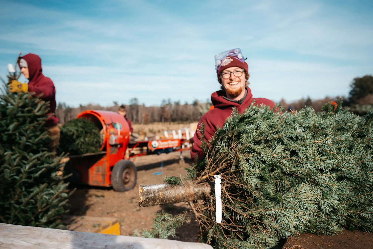 Christmas at Chestnut Mountain Tree Farm