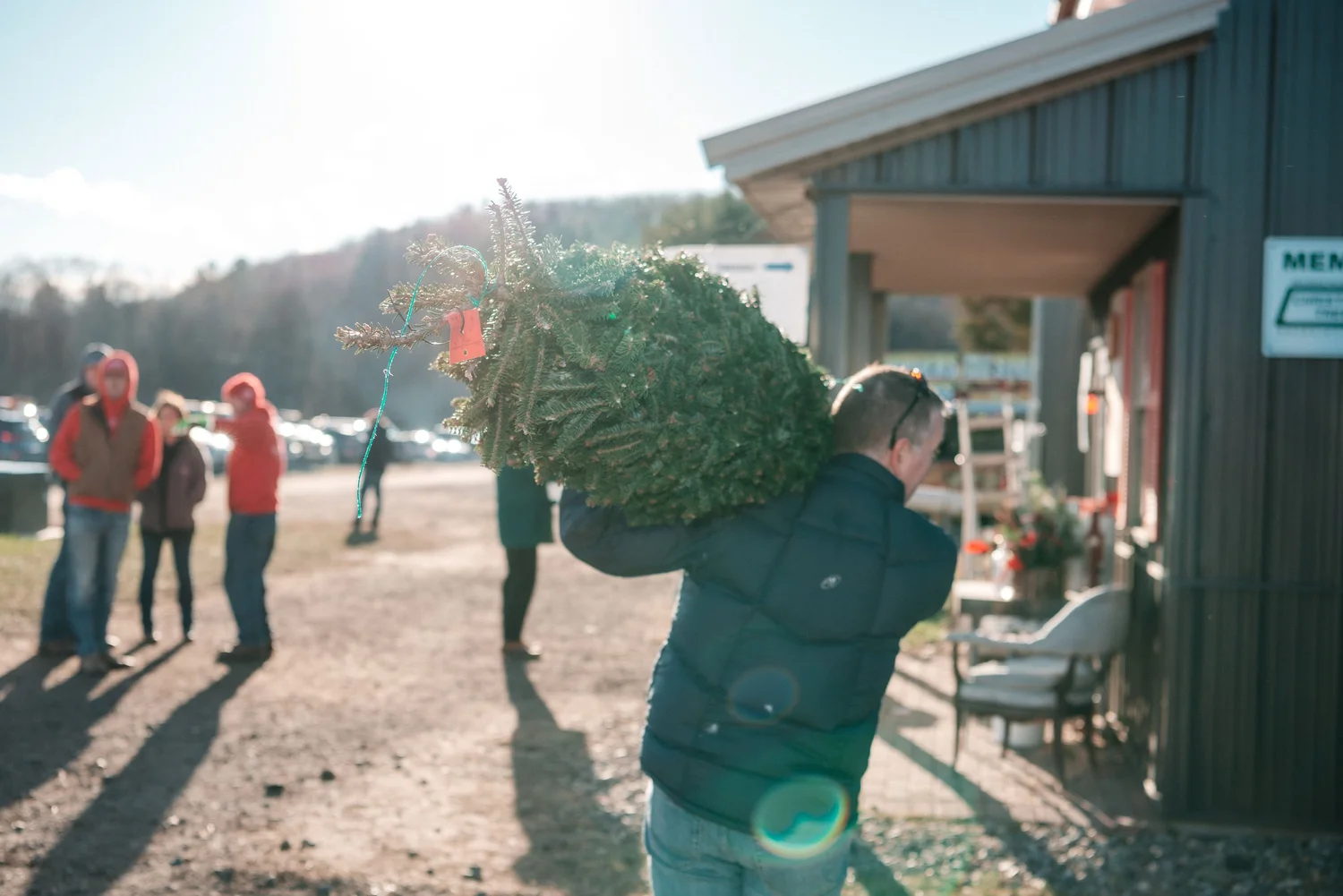 Christmas at Chestnut Mountain Tree Farm