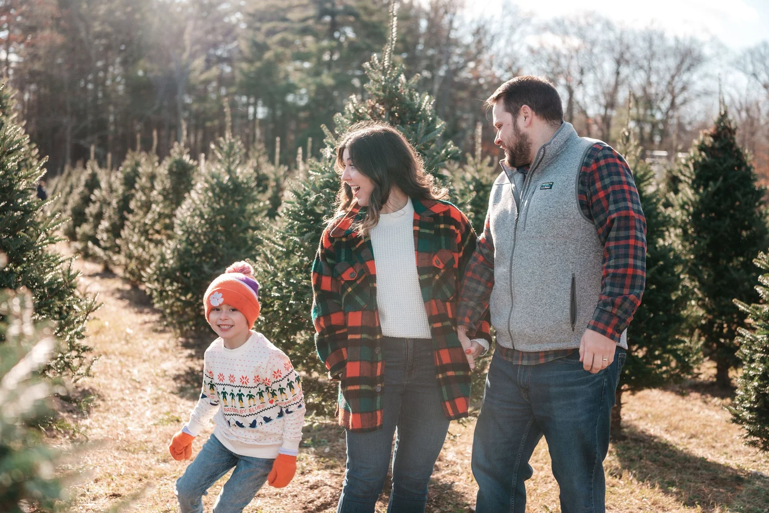 Christmas at Chestnut Mountain Tree Farm
