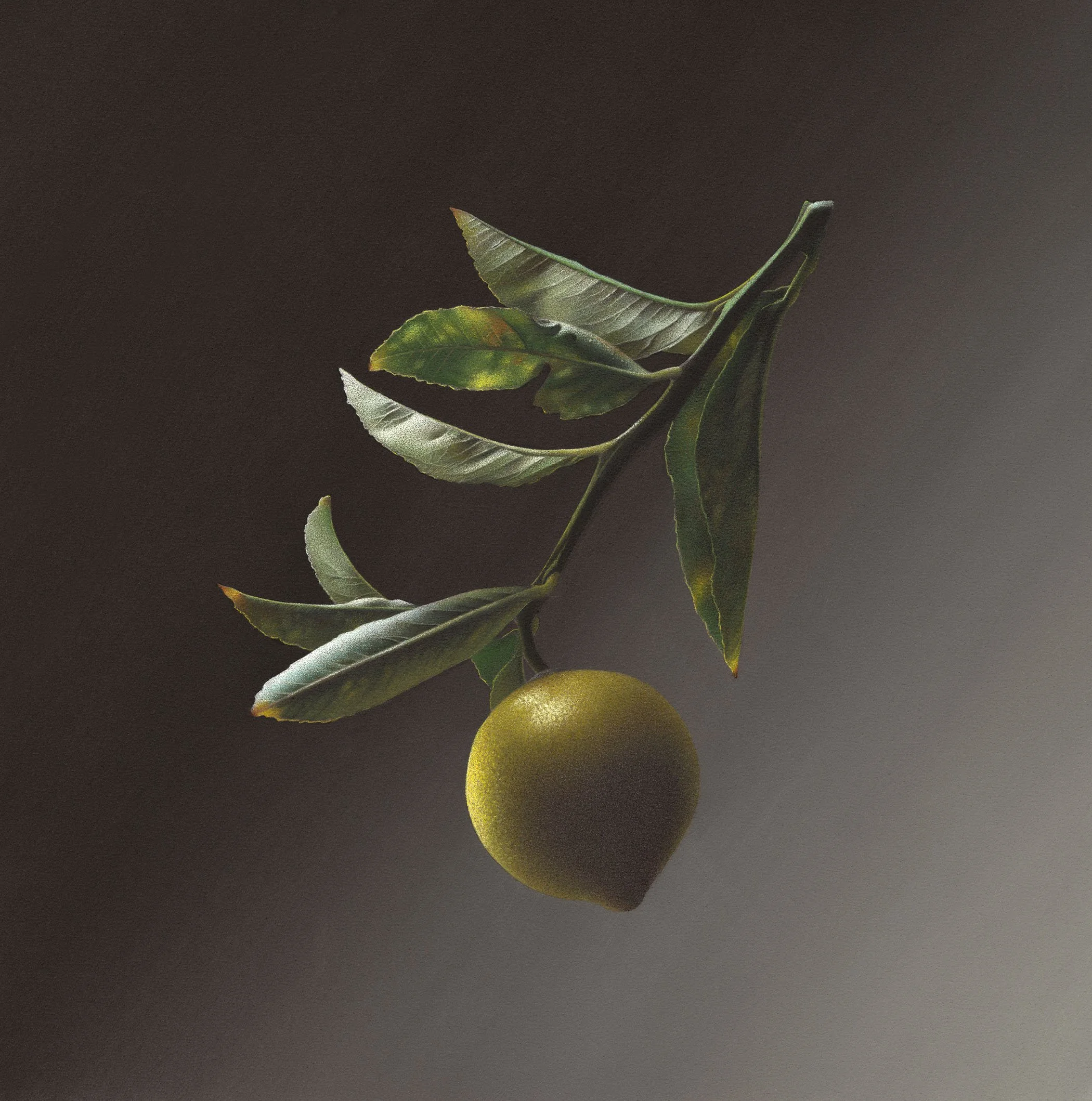 Hyperrealistic colored pencil drawing of a lemon with its leaves