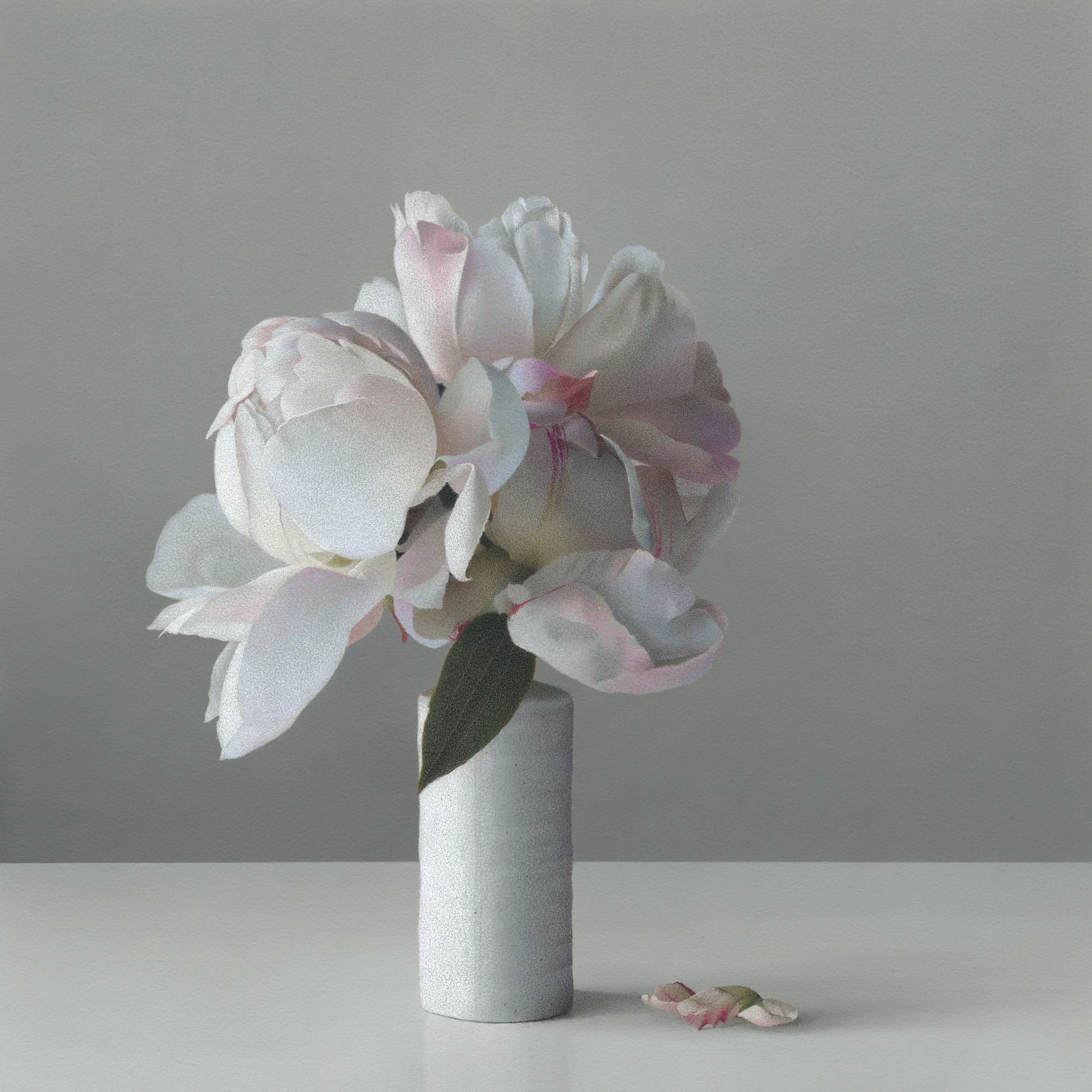 Hyperrealistic colored pencil drawing of a pink and white peony in a white ceramic vase with soft, diffused light and detailed petals
