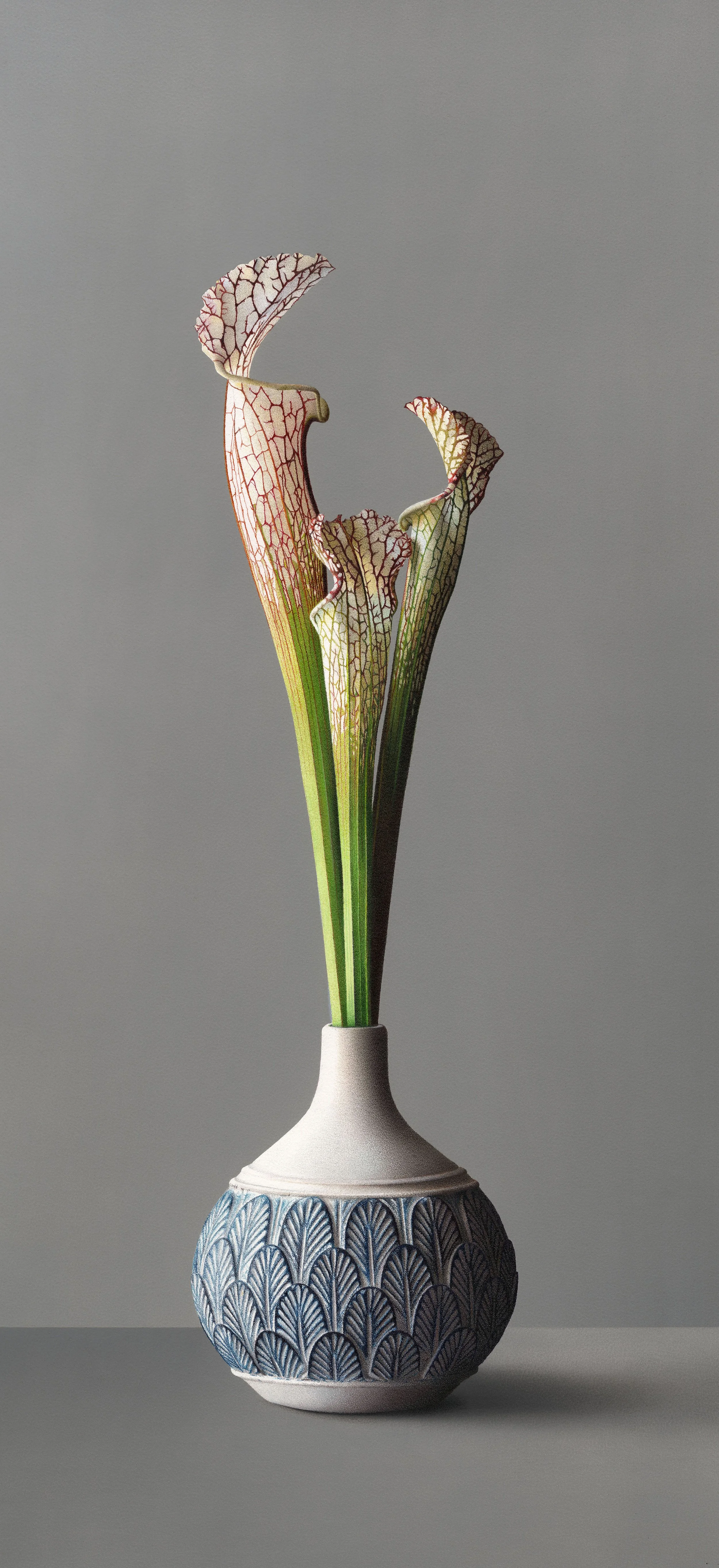 Hyperrealistic colored pencil drawing of three pitcher plants (Sarracenia) in an ornate blue and white patterned vase with a tall, slender composition