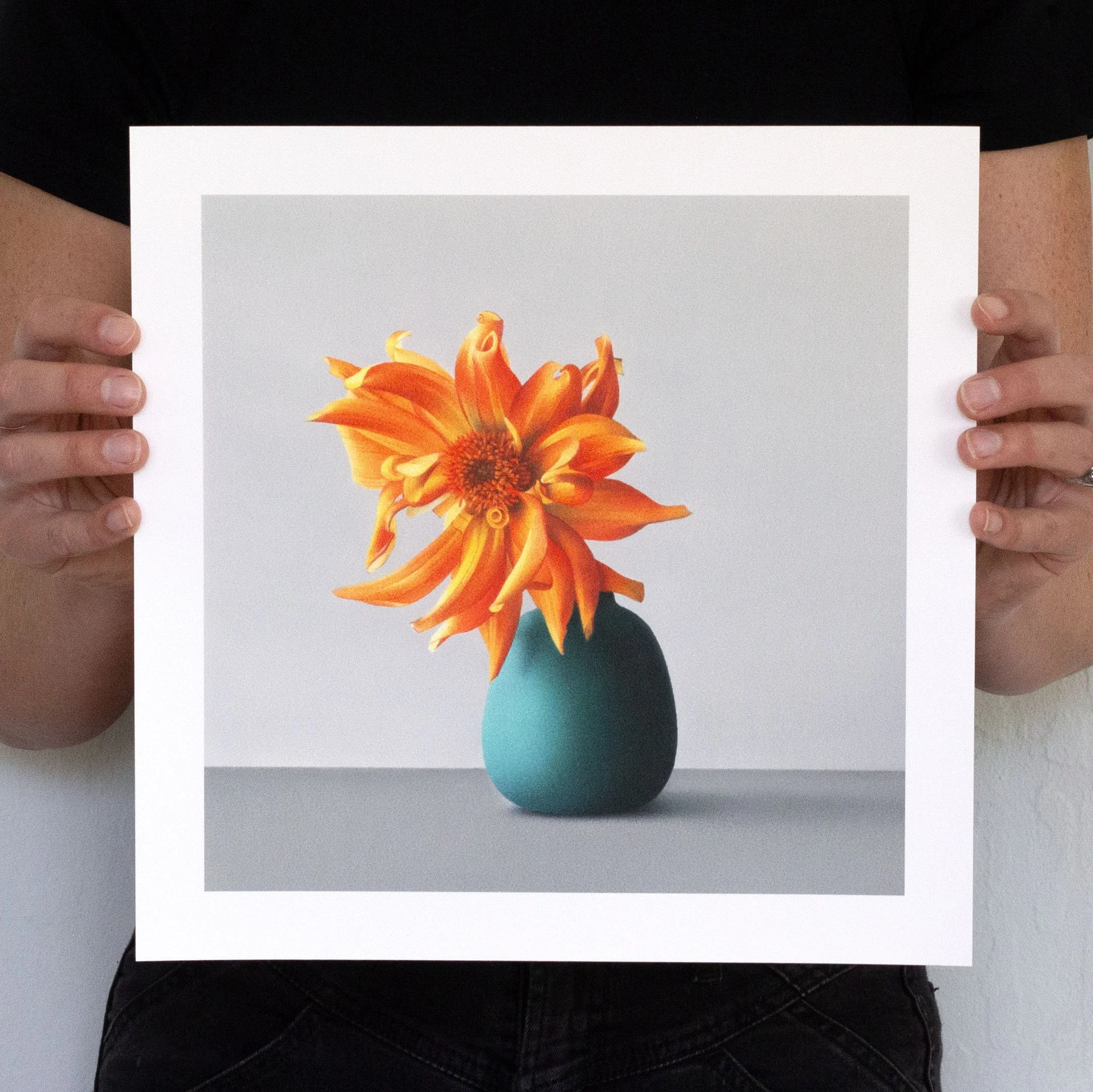 Dahlia