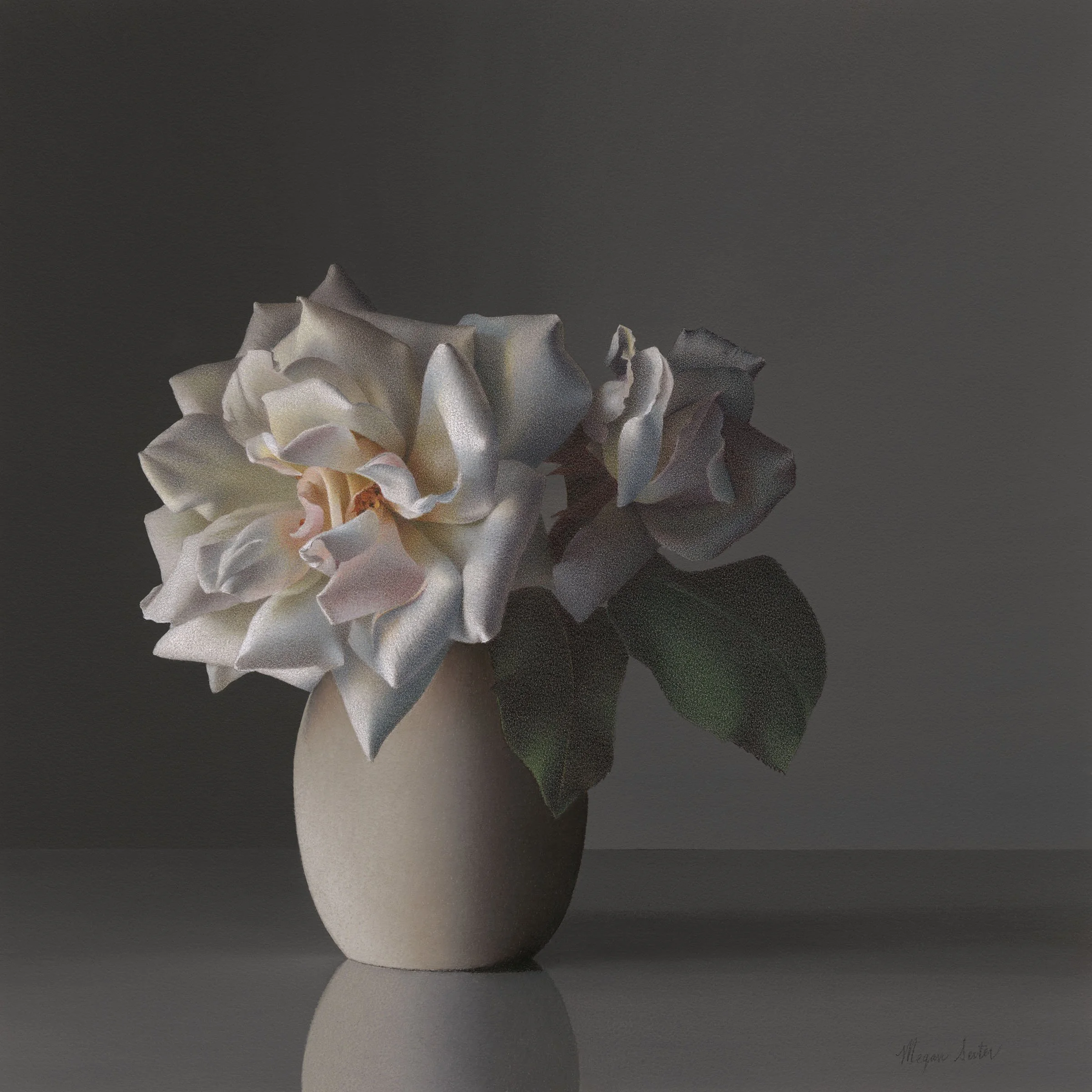 Realistic colored pencil botanical drawing of a white rose in a ceramic vase against a dark gray background with dramatic directional lighting