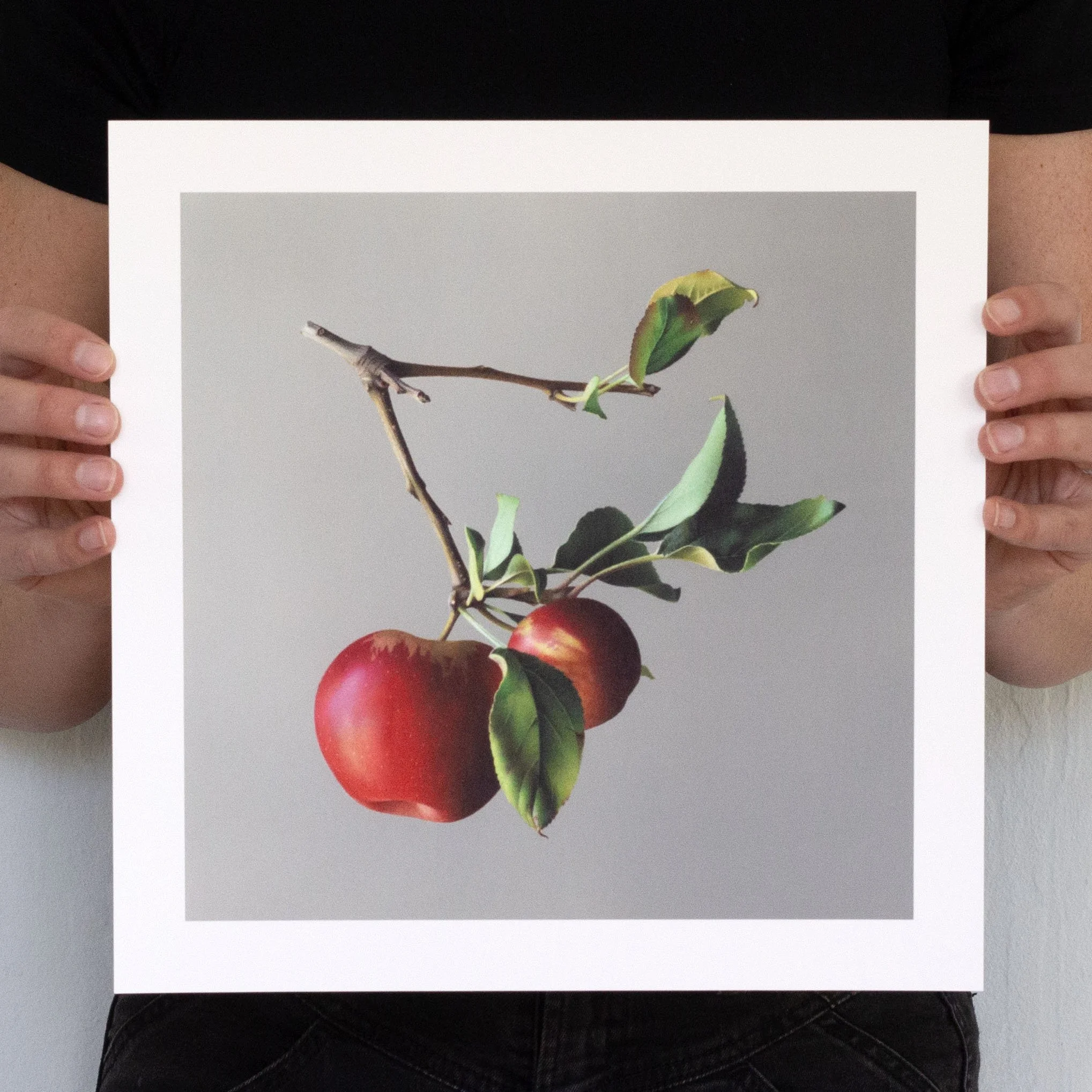Apples
