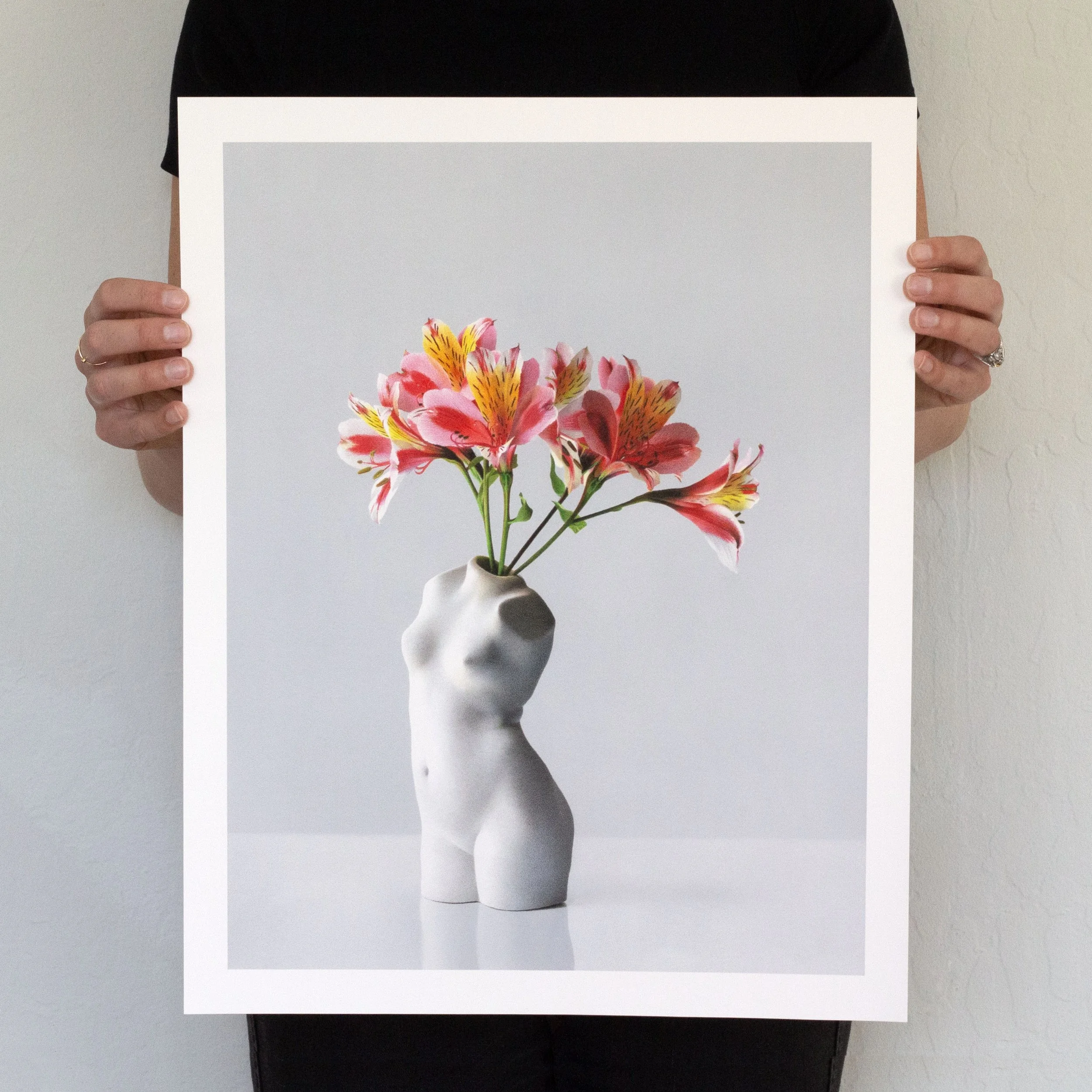 Lily of the Incas