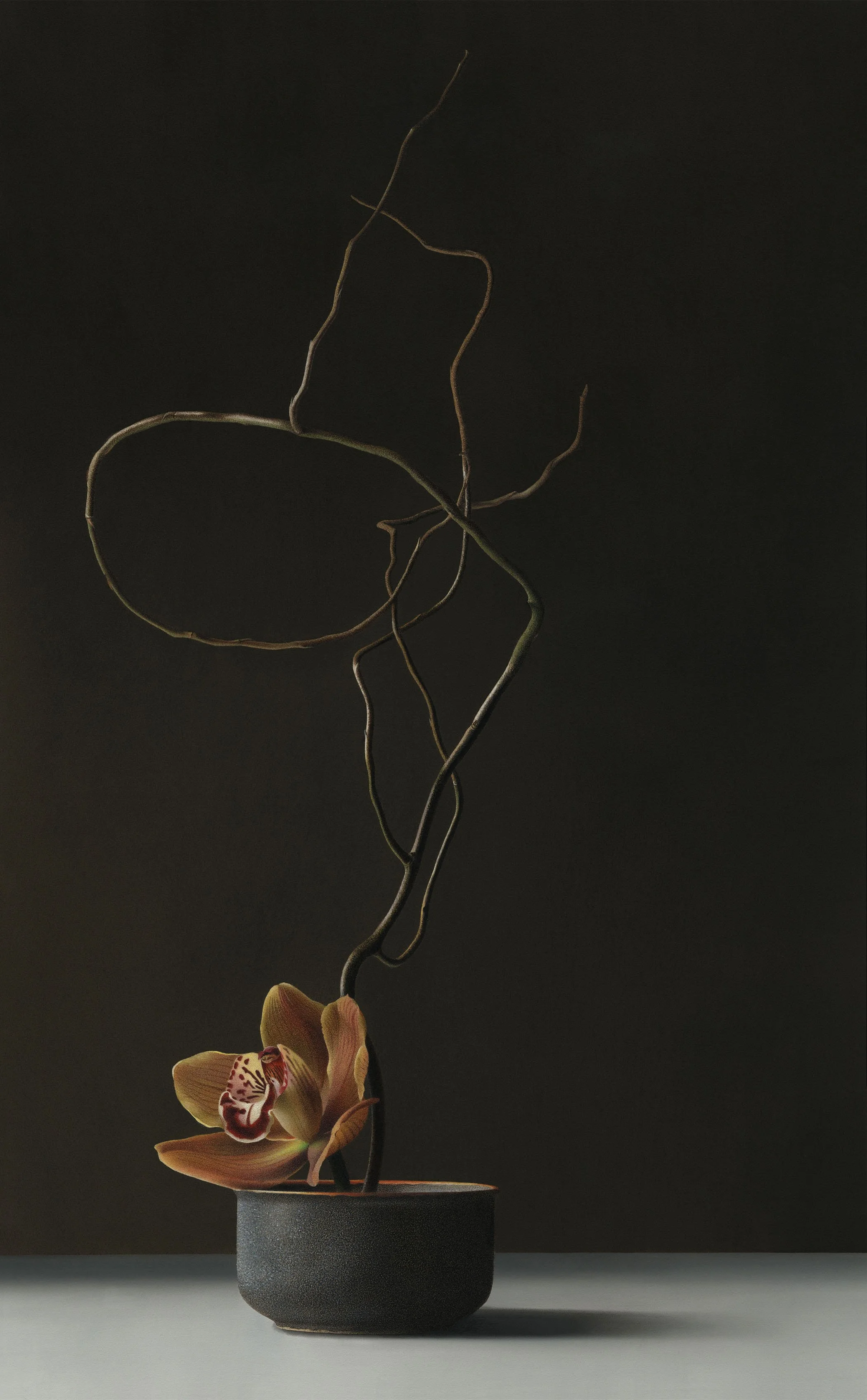 Hyperrealistic colored pencil drawing of an orchid positioned at the opening of a dark ikebana-style vase with a curved branch emerging, set against a dark background with dramatic directional lighting
