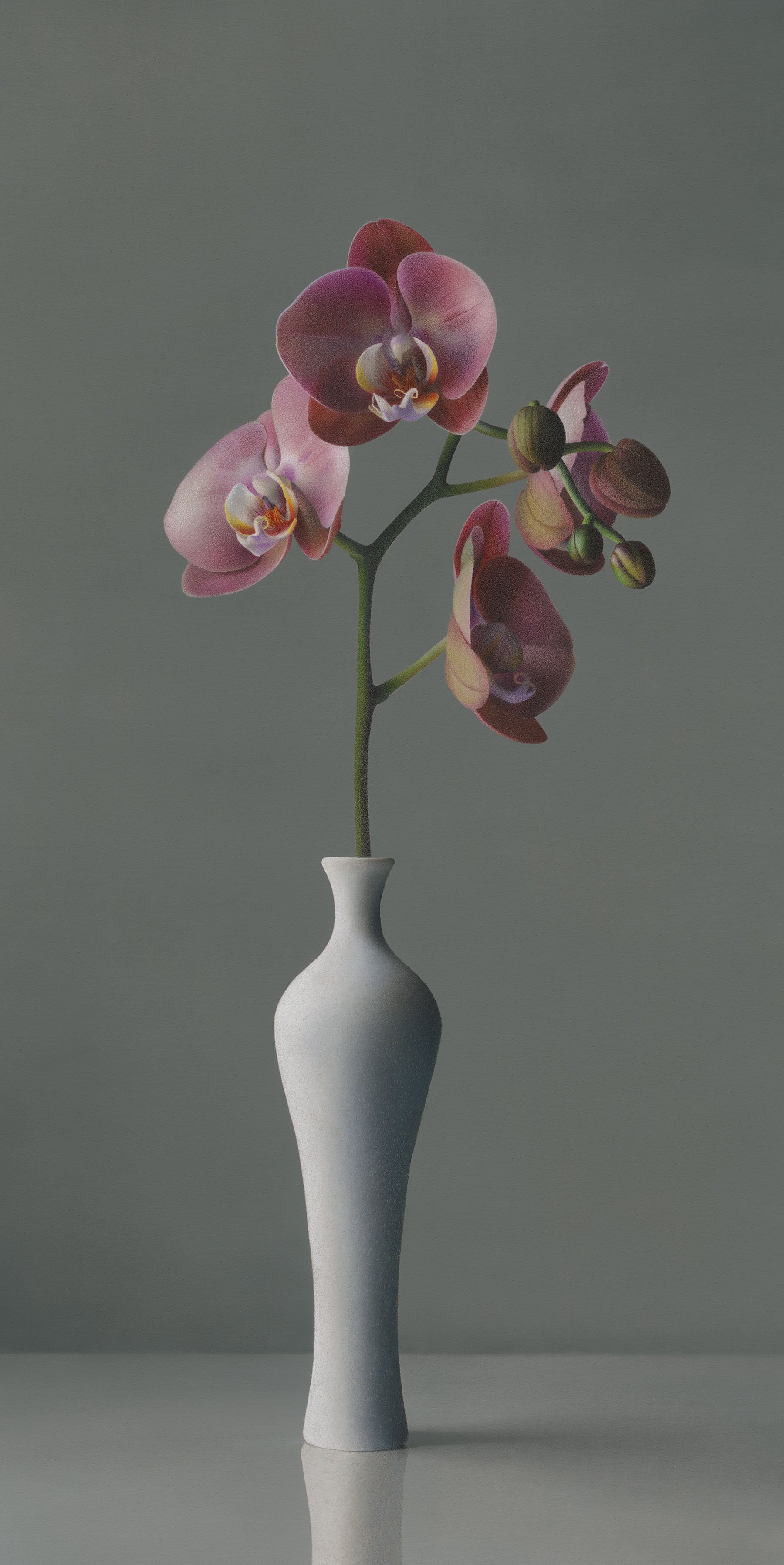 Hyperrealistic colored pencil drawing of pink orchids in a tall white ceramic vase with soft light and detailed petals