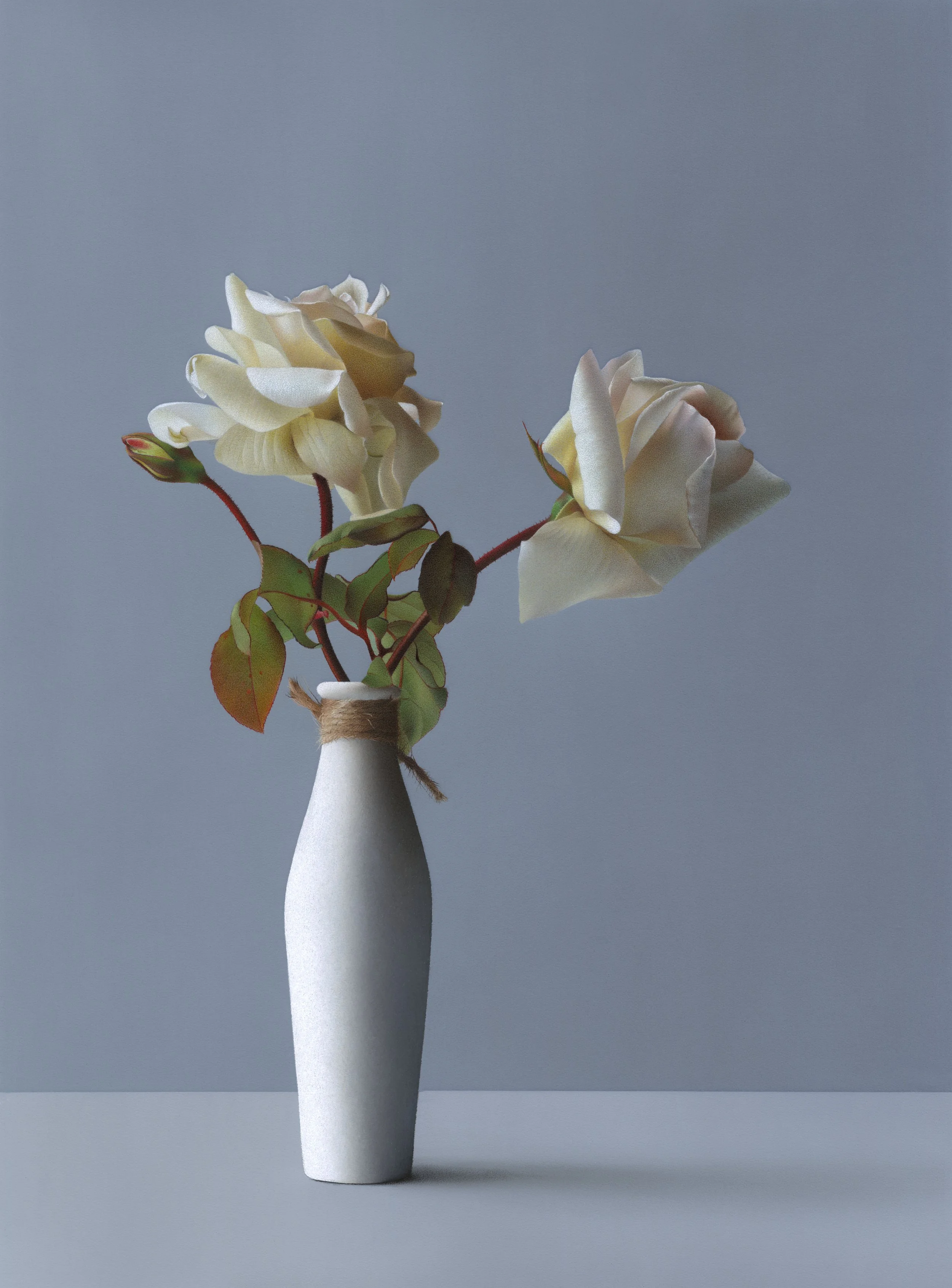 Hyperrealistic colored pencil drawing of two garden roses in a tall white ceramic vase with twine around the neck against a blue background