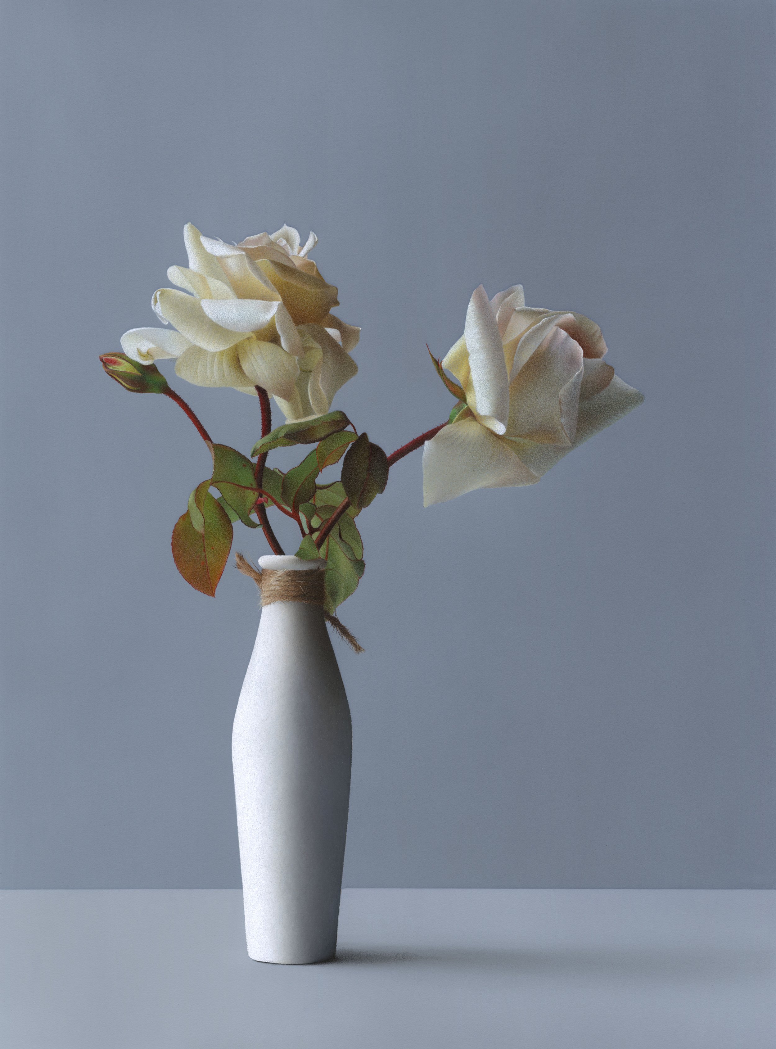 Hyperrealistic colored pencil drawing of white gardenroses in a tall white ceramic vase with twine decoration and a blue background