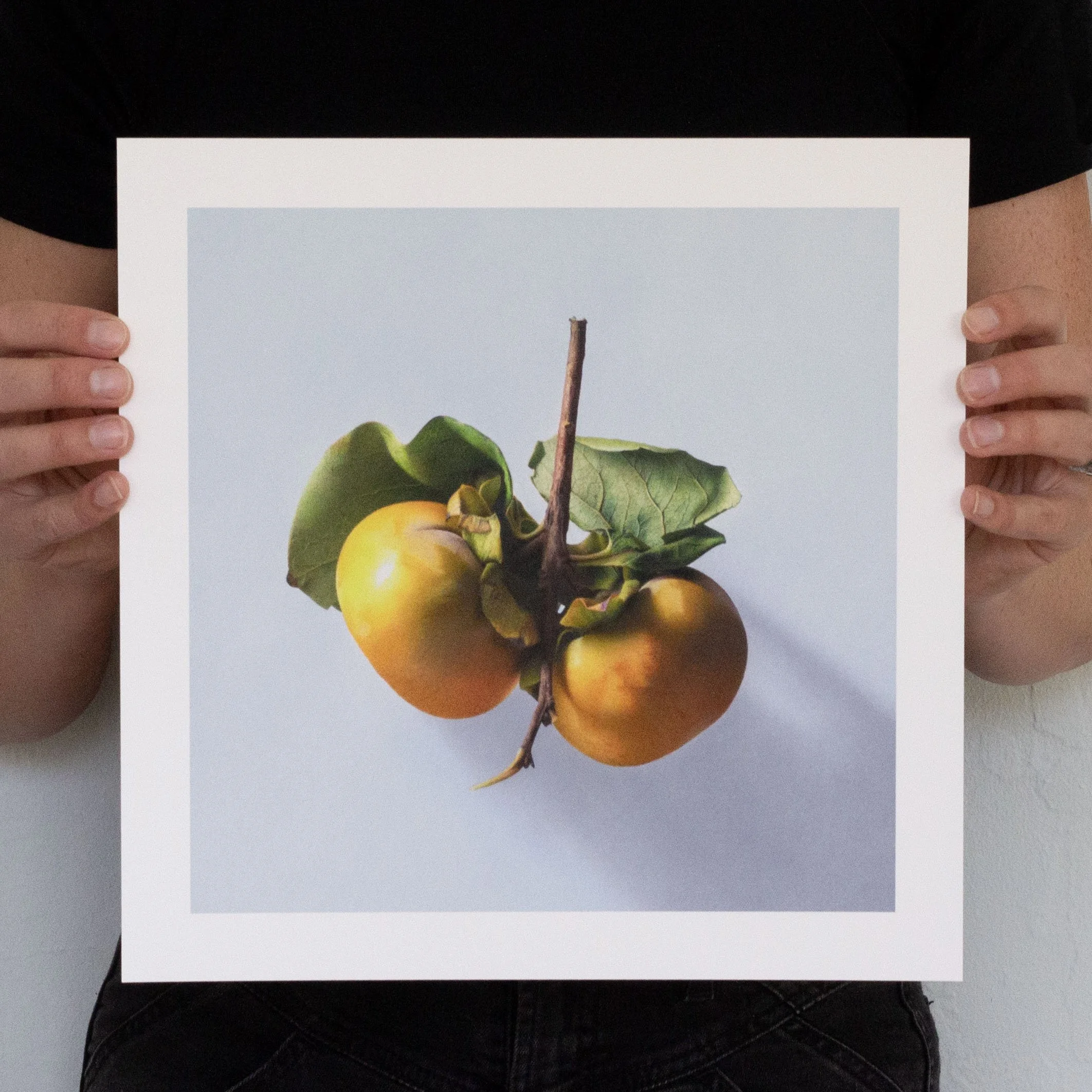 Persimmons