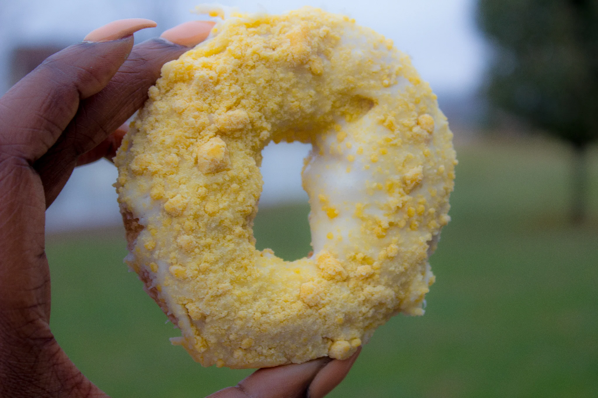 Gooey Butter Cake Donut
