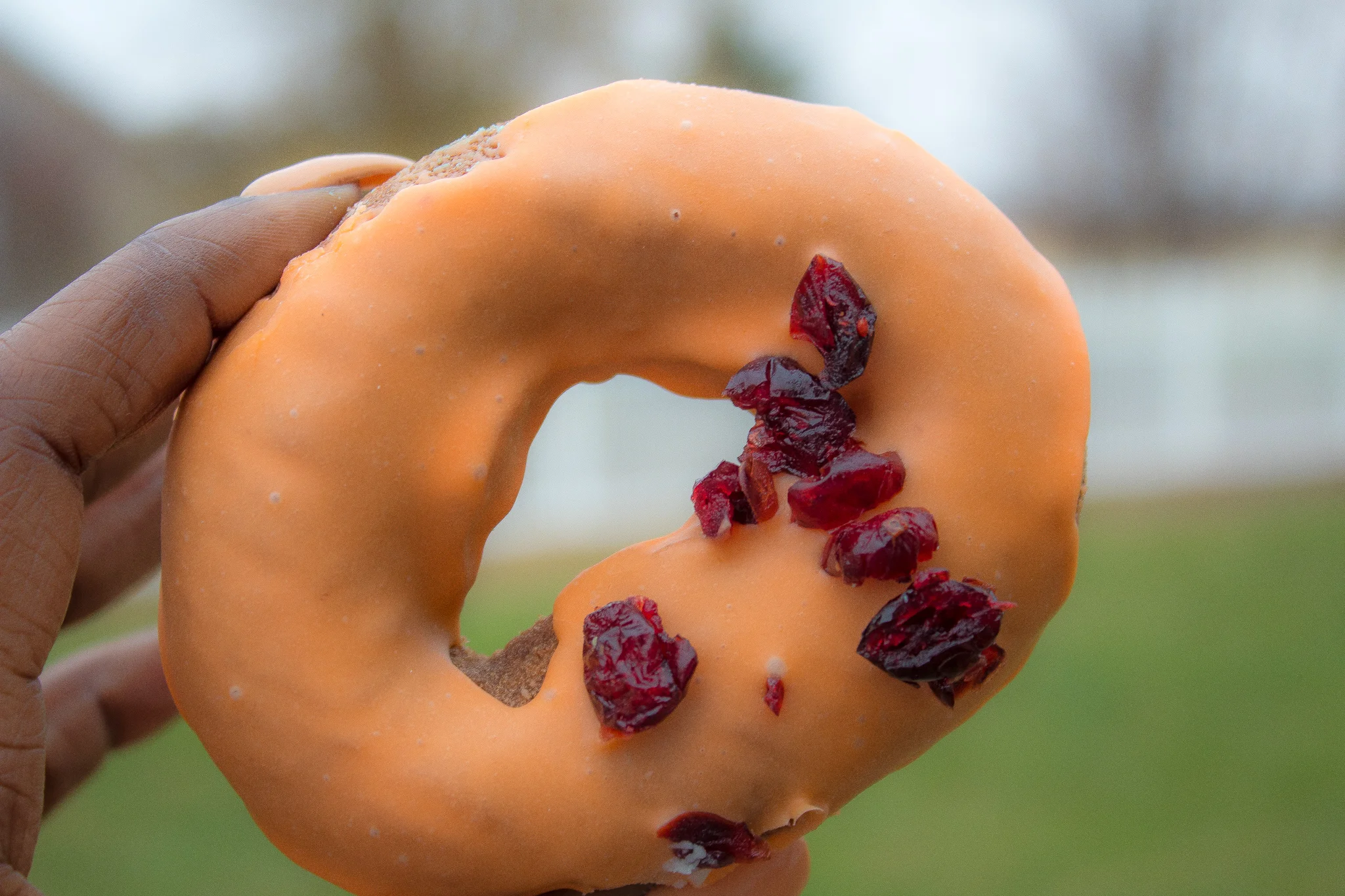 Orange Cranberry Donut
