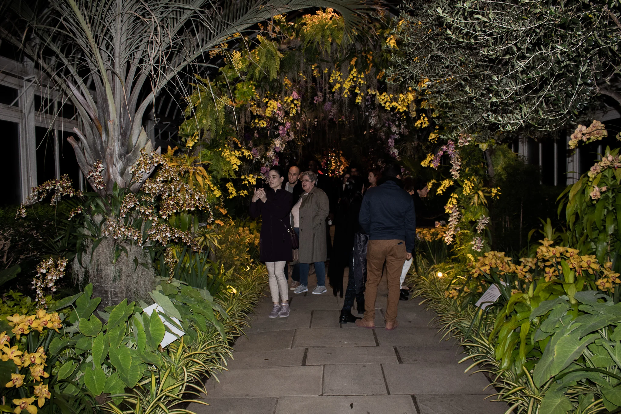 THE ORCHID SHOW: SINGAPORE.jpg