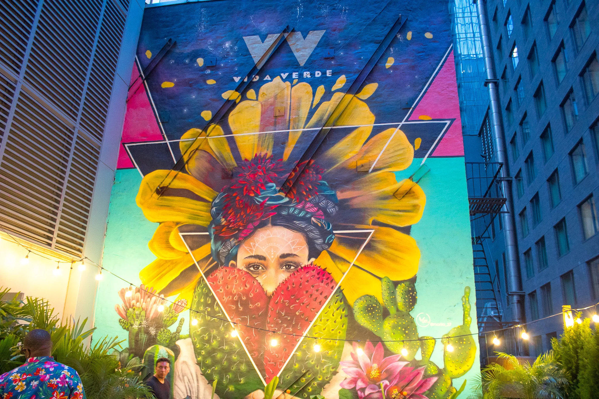vida verde rooftop nyc.jpg