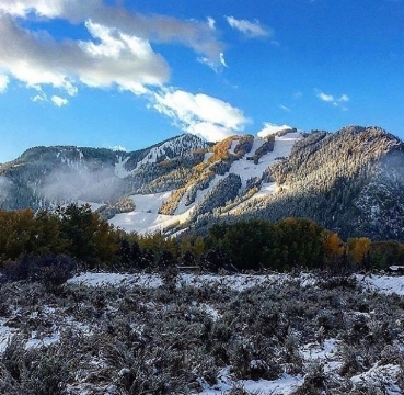 Aspen.jpeg