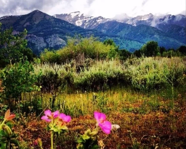 Escape Guide Jackson Hole, Wyoming — The Flagship by Hudson Sutler