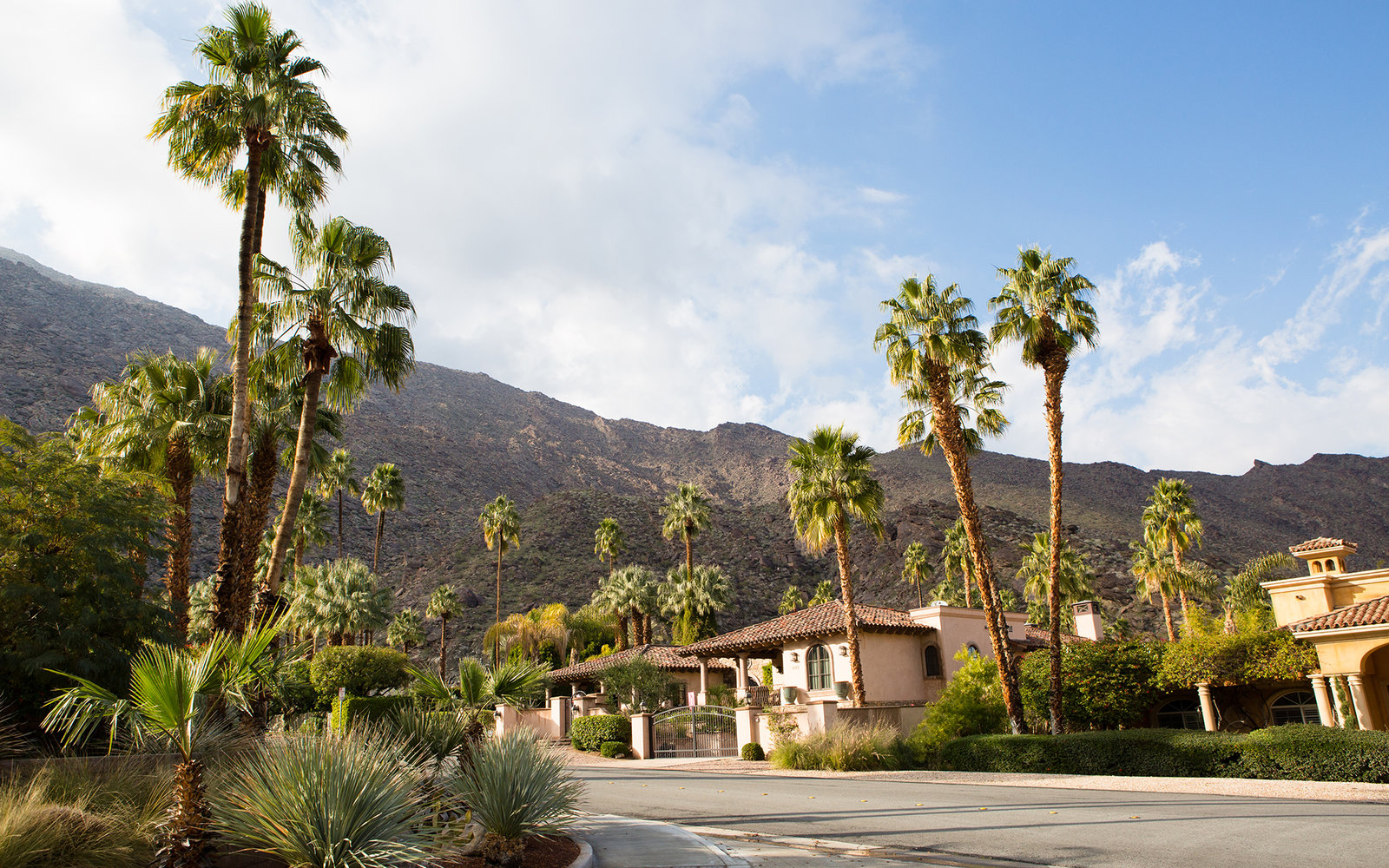 HEADER-Facebook-Palm-Springs-ps0117.jpg