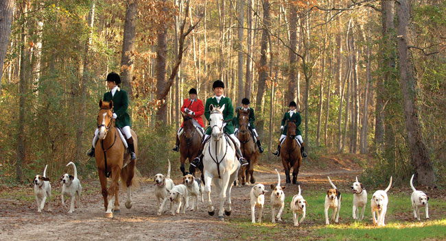 hounds.jpg