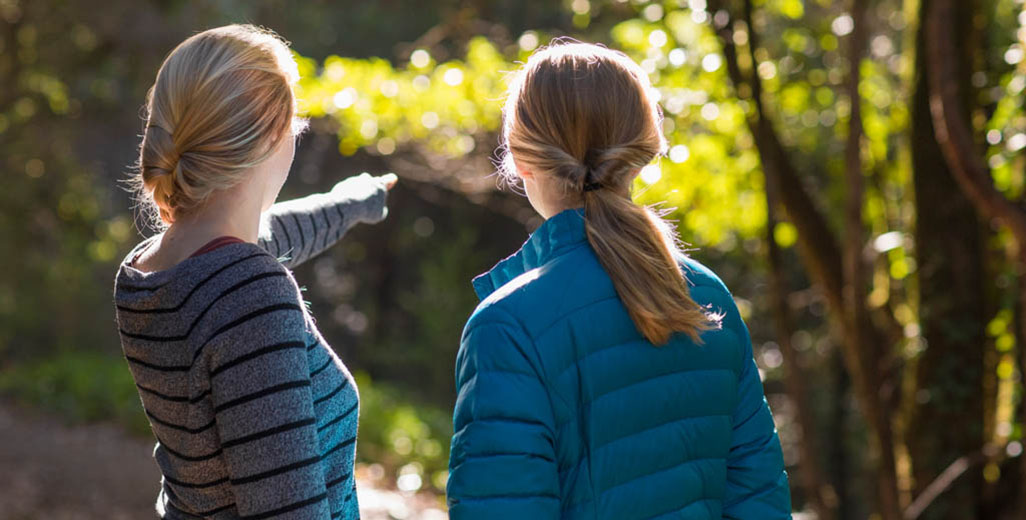 Two girls stare into the redwoods while one of them points