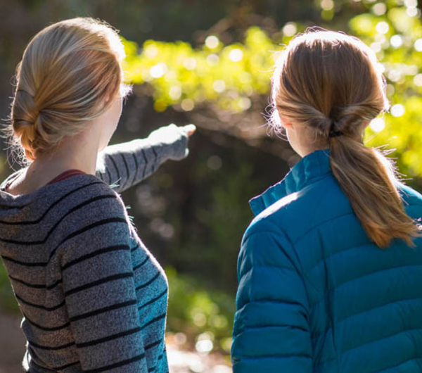 Two girls stare into the redwoods while one of them points