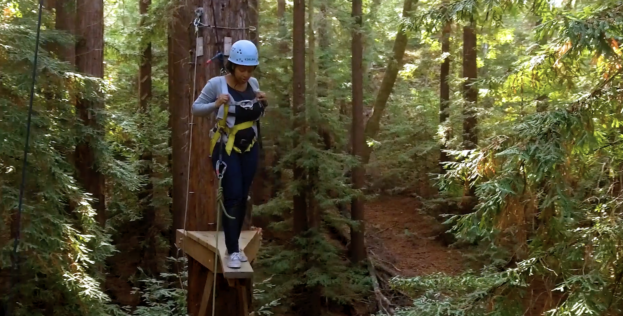 A woman does team building climbing in the redwoods