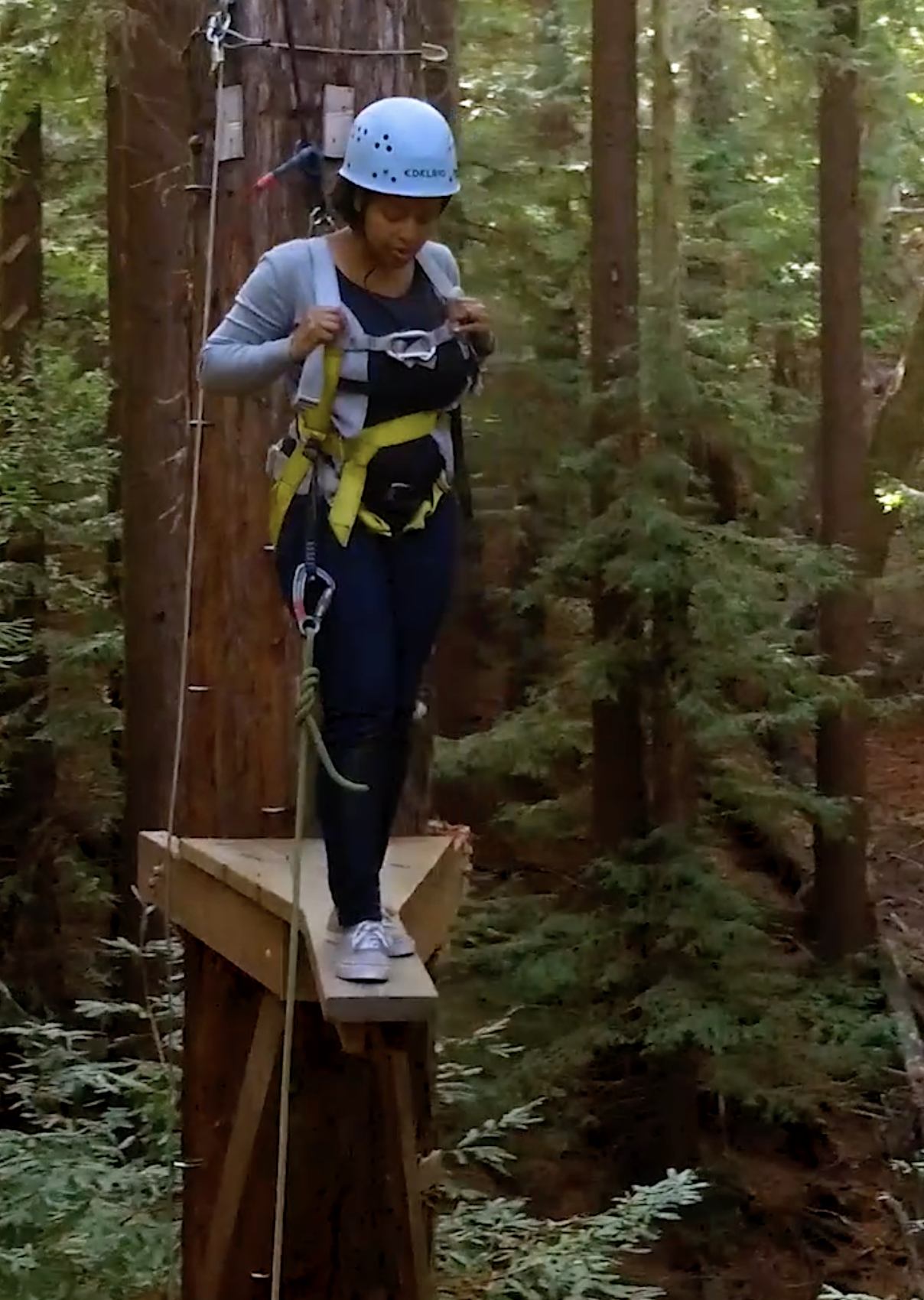 A woman does team building climbing in the redwoods