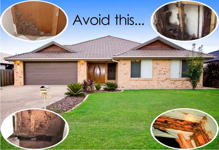 How to Protect Your Home from Termites
