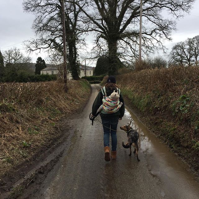 Kim (and Jasper) walking to the next village with Nala, working on speed and direction and distance work! She did a great job! #thewolfanddogdevelopmentcentre #shaunelljs #cornwall #dogbehavior #collie