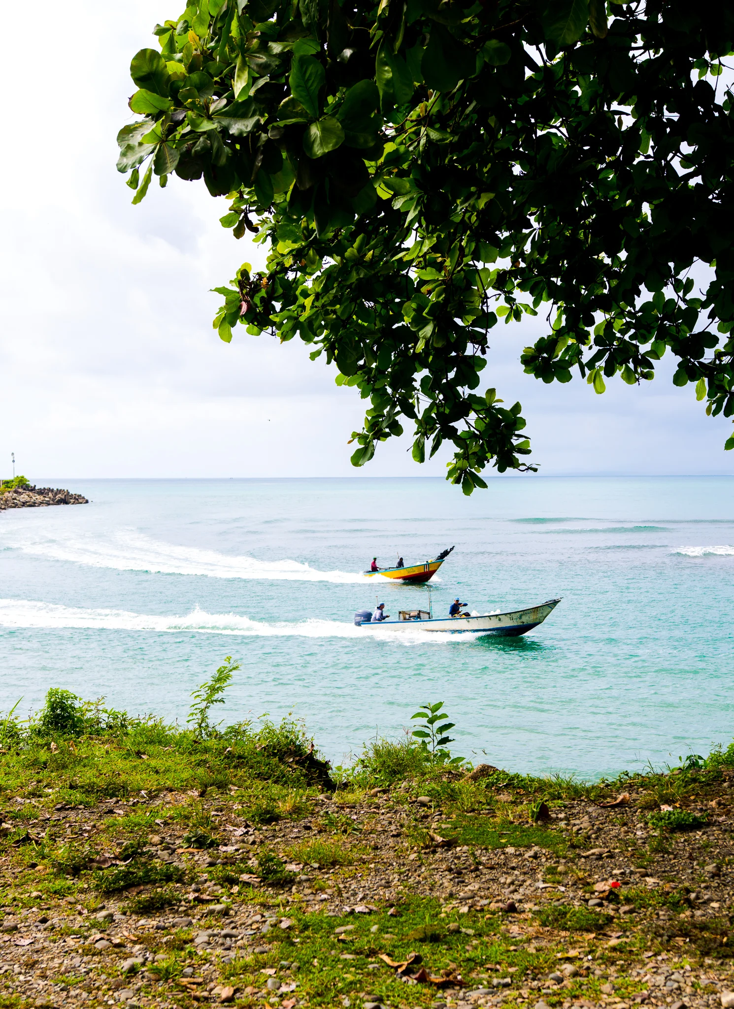 DSC_2883.jpg