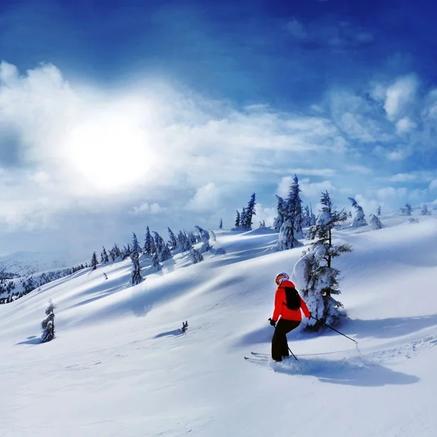 So You Want to Take Your Migraine and ... Go Skiing!