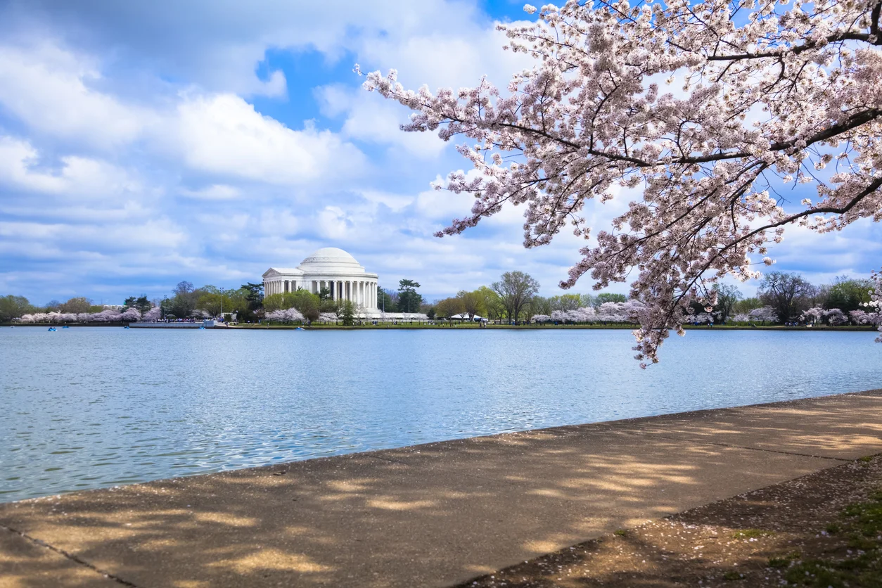 Is there an epidemic of chronic tension type headache in Washington, DC?