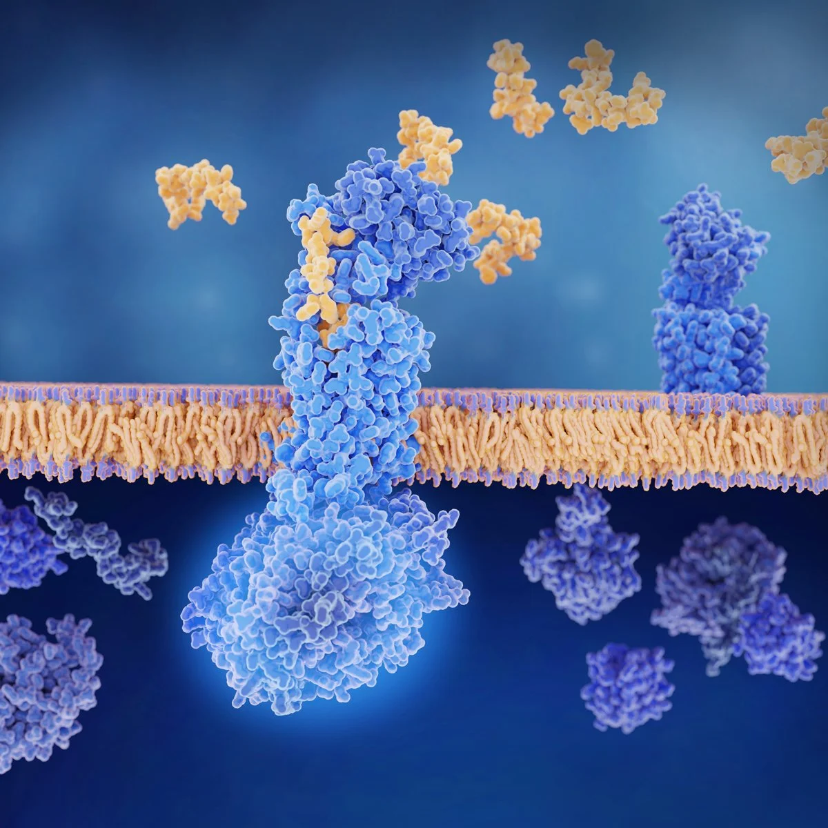 Migraine Treatments of the Month: The Anti-CGRP Monoclonal Antibodies