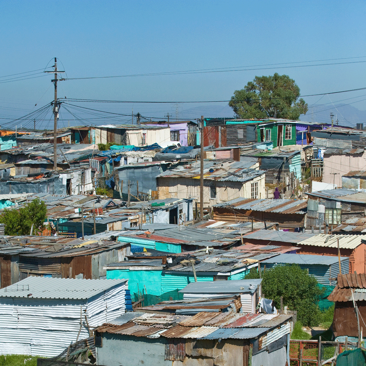 Migraine International: South Africa