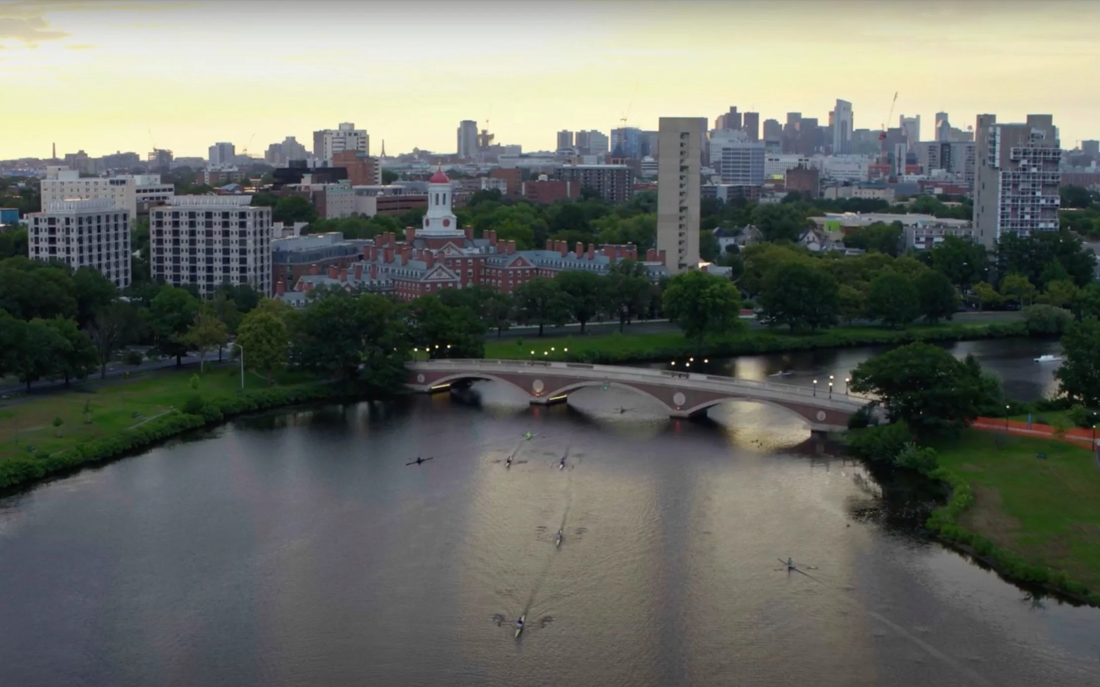  Role: Editor, DP, Producer  Client: Harvard University 