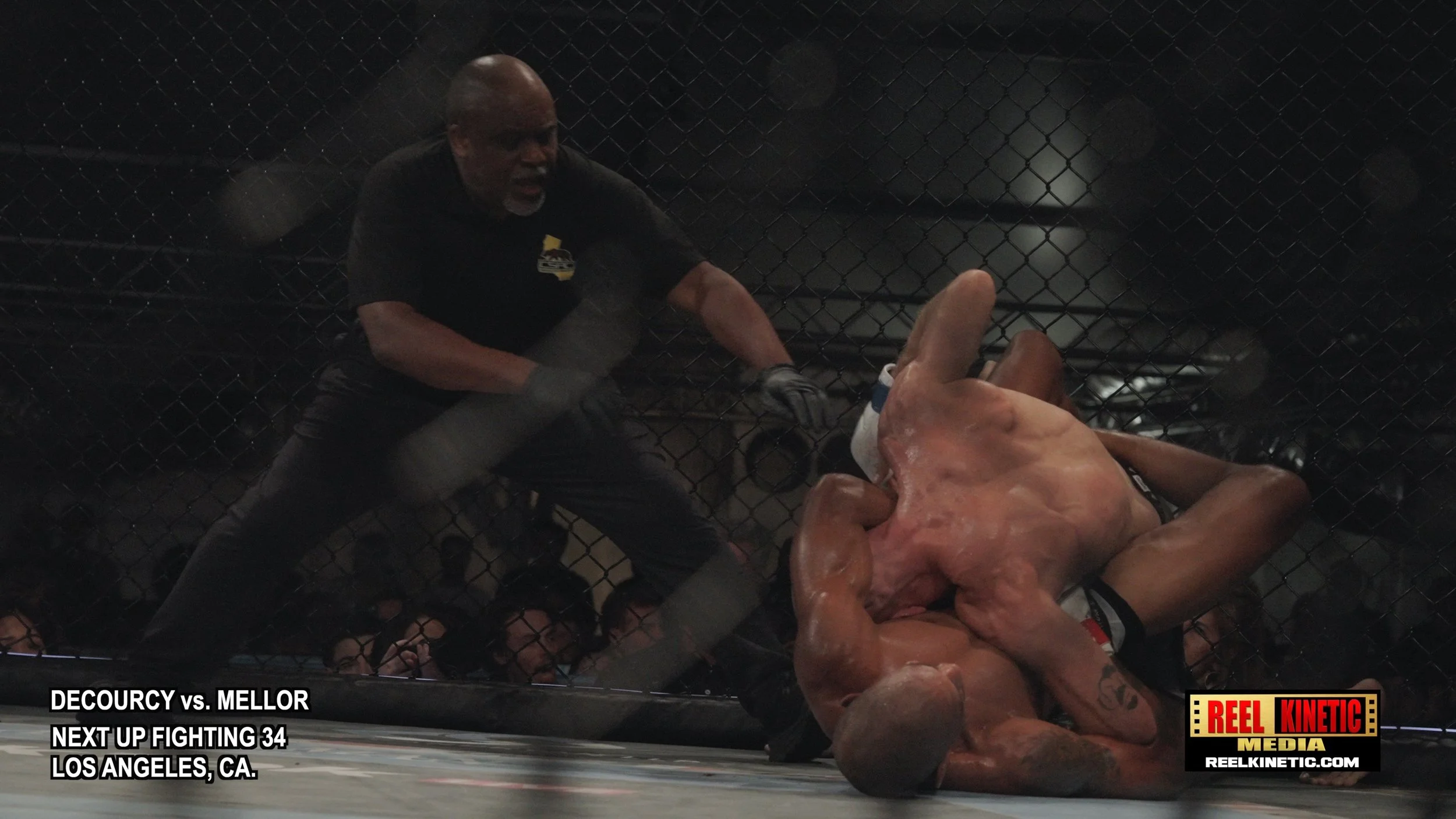 DeCourcy Vs. Mellor- UNF 34- Ver. 2-Field notes2.jpg