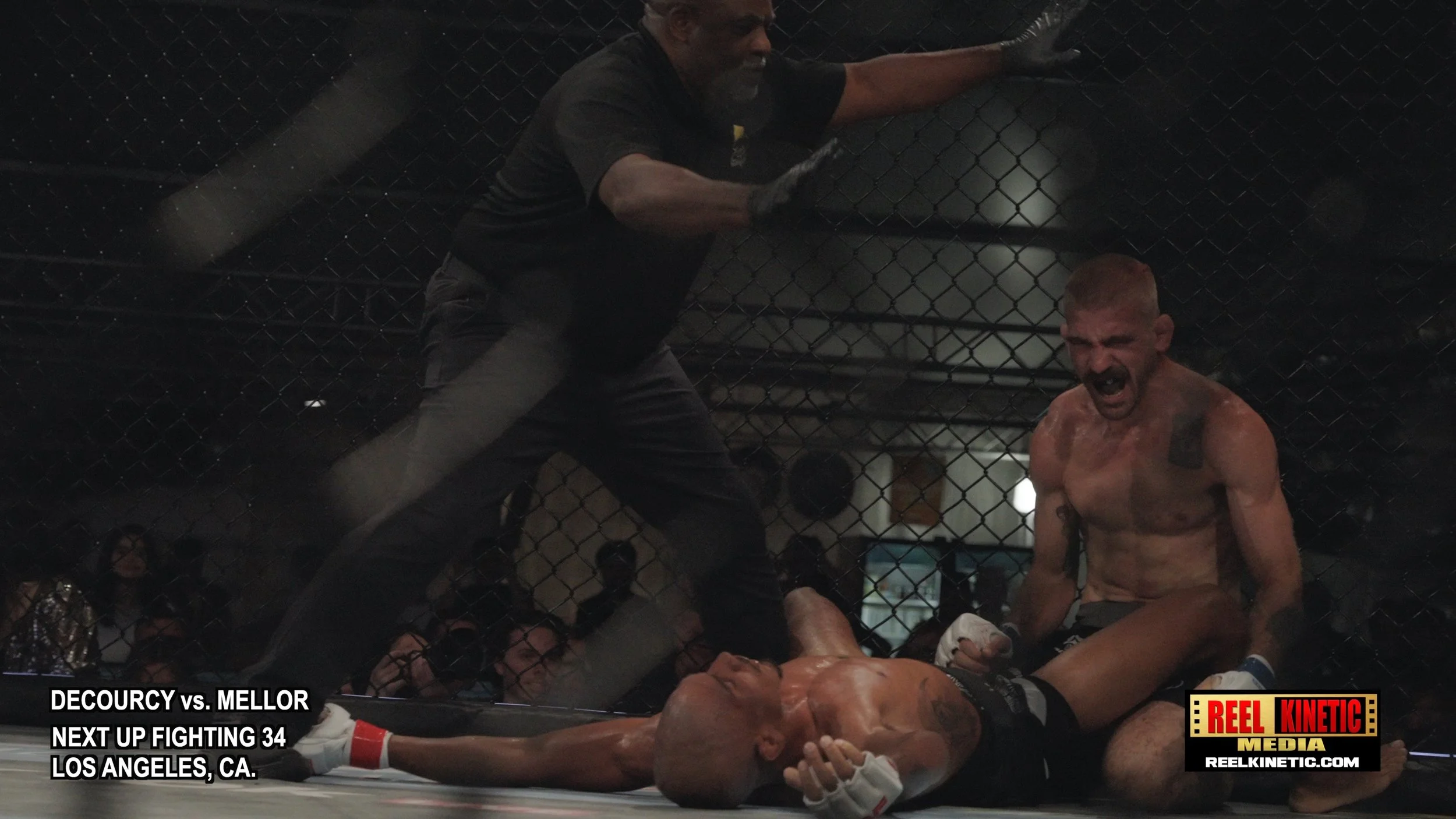 DeCourcy Vs. Mellor- UNF 34- Ver. 2-field notes1.jpg