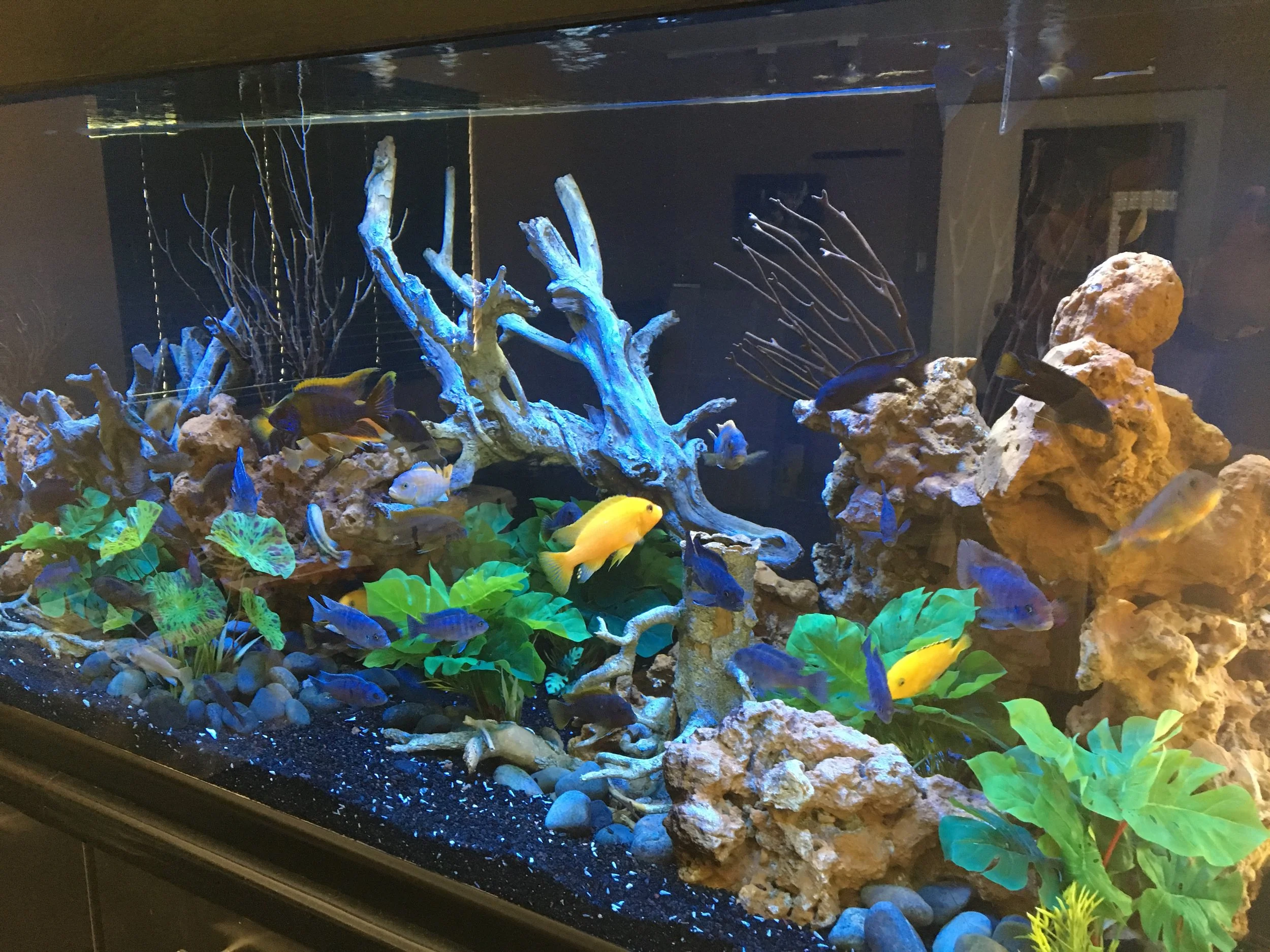 Travis Cepregi - 3CA2EF76-290E-4D33-82F6-81B609C482D0.jpeg