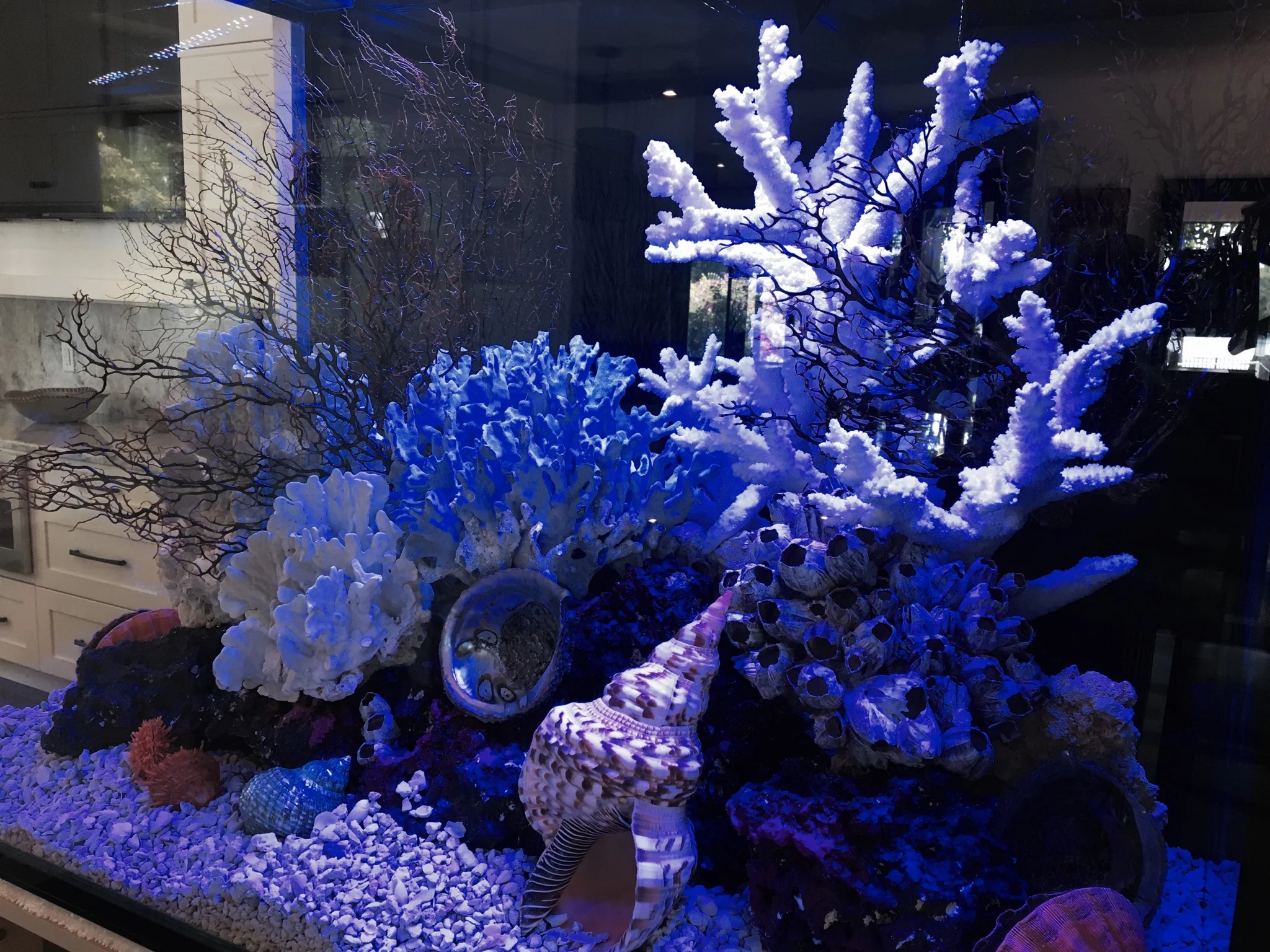 Travis Cepregi - 3DF120E3-F404-442F-8A00-9CBDC9019B3F.jpeg