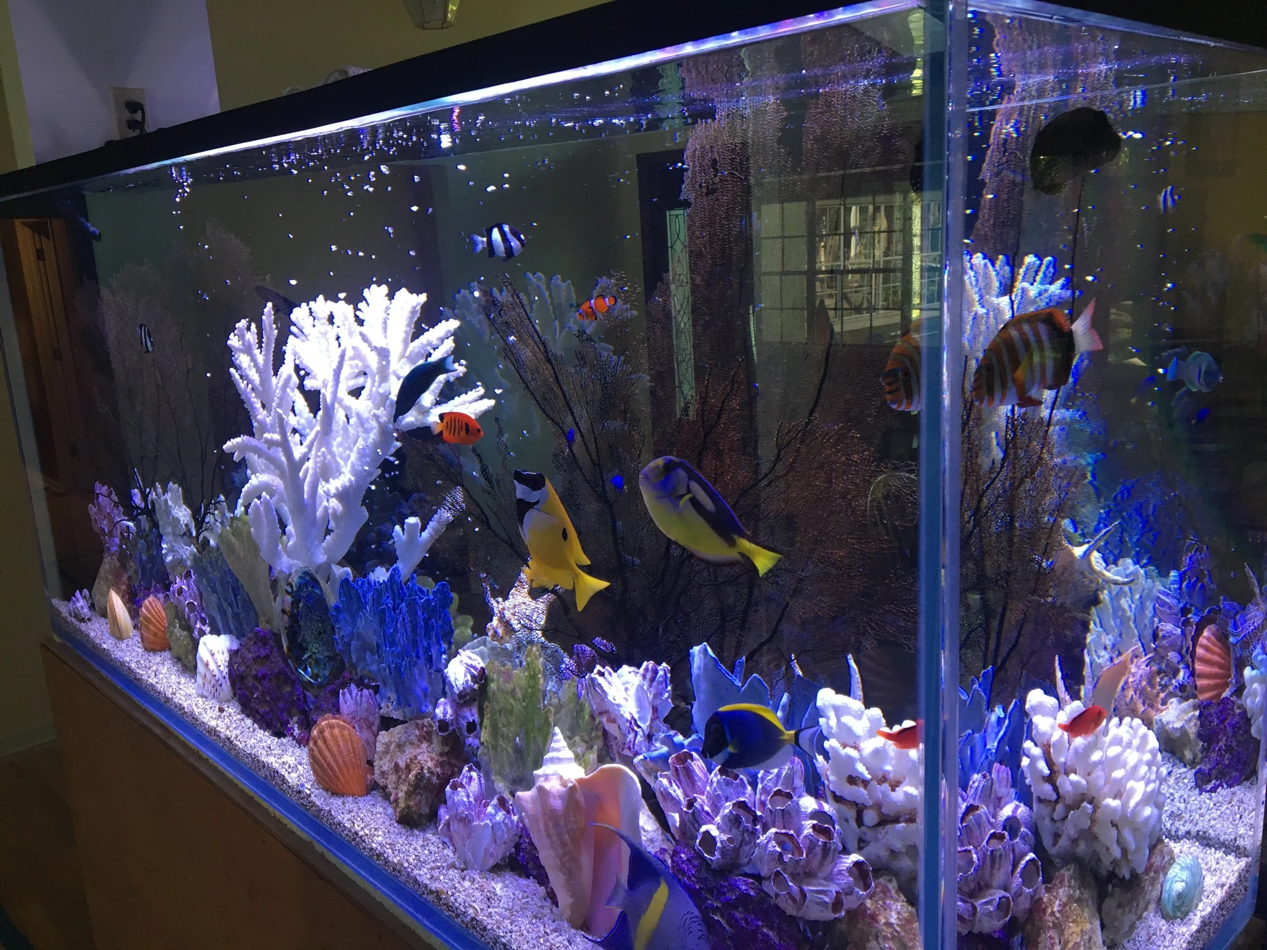 Travis Cepregi - F74C540C-9678-4C70-A67E-BB13FDE50EDC.jpeg