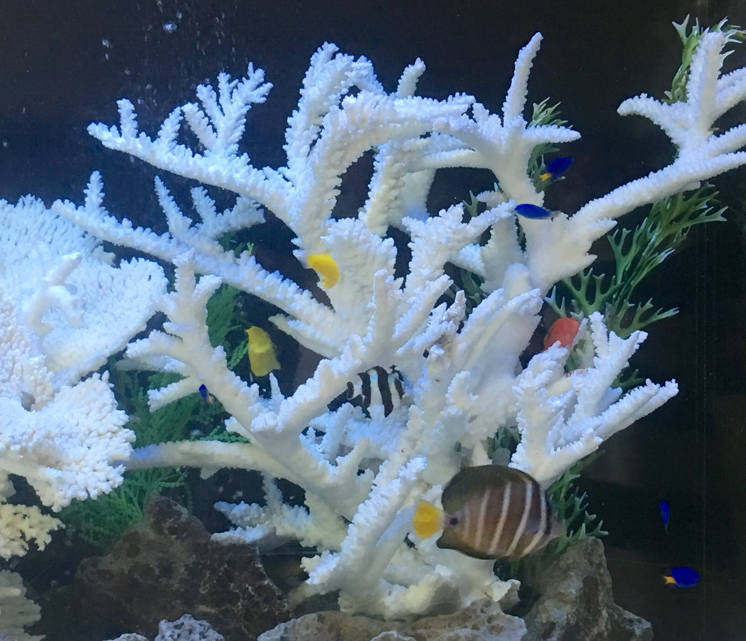 Step 2 of the Project