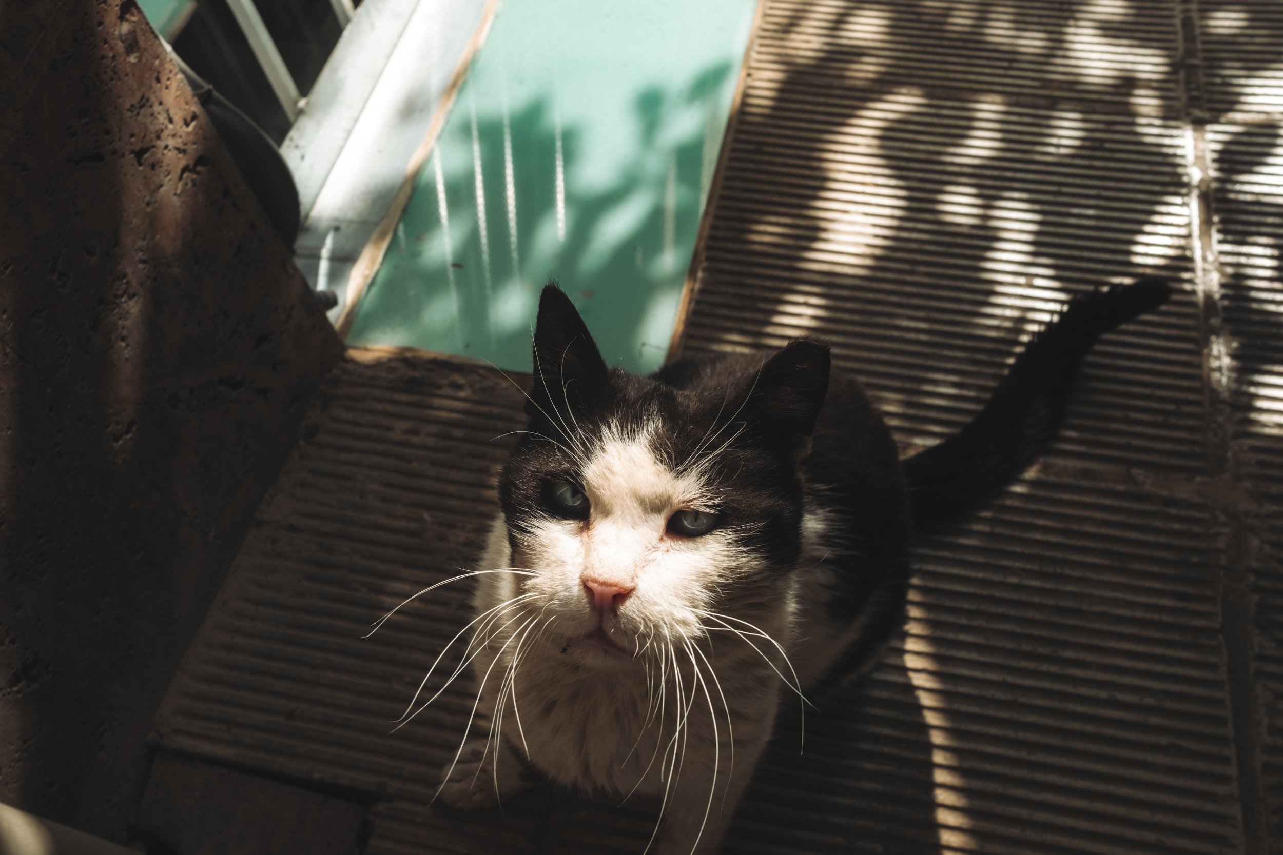 DSCF1838.jpg