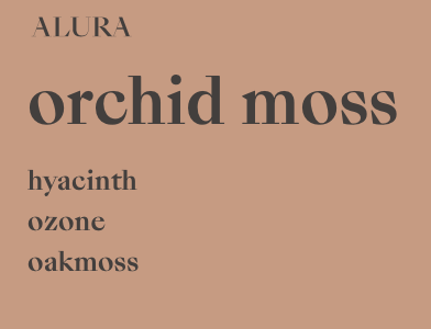 Screen Shot 2023-04-14 at 12.53.56 AM.png